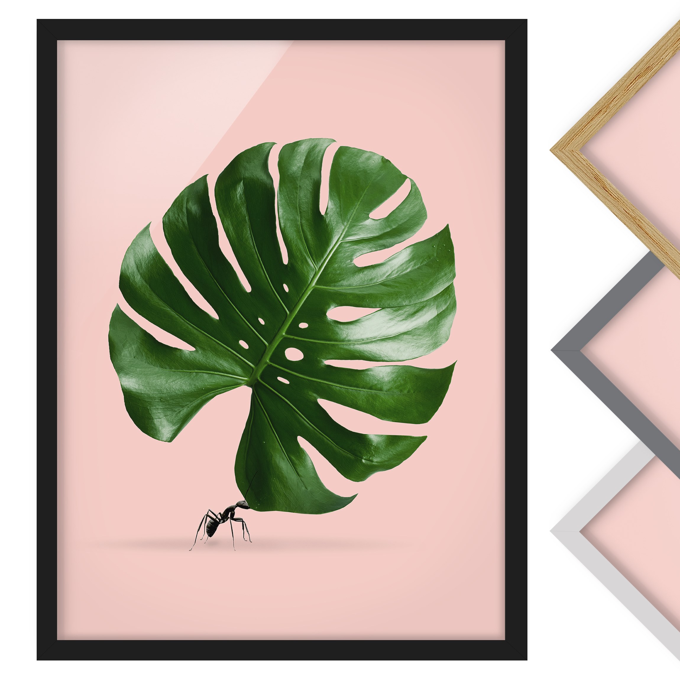 Bild mit Rahmen - Hochformat Ameise mit Monstera Blatt