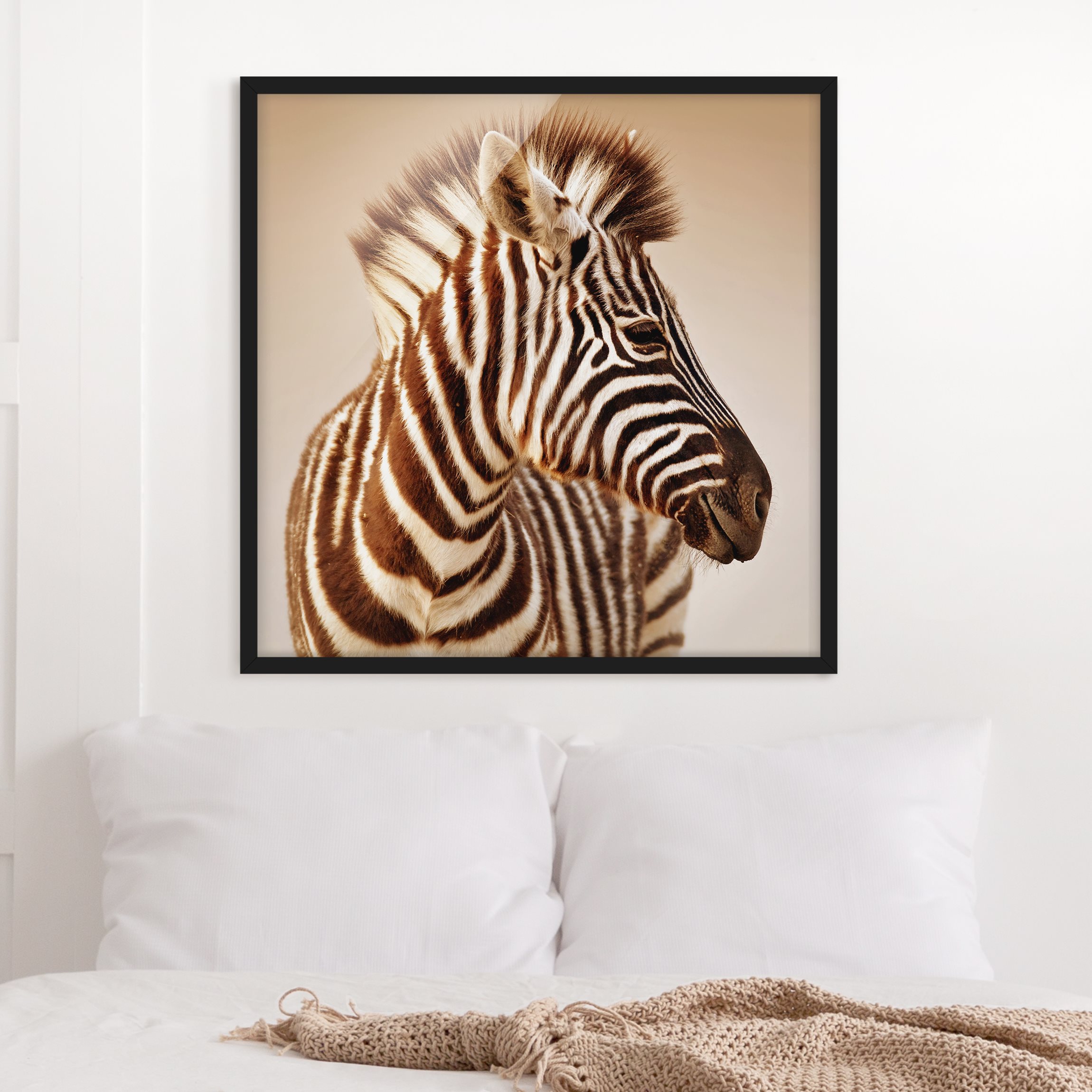 Bild mit Rahmen - Quadrat Zebra Baby Portrait