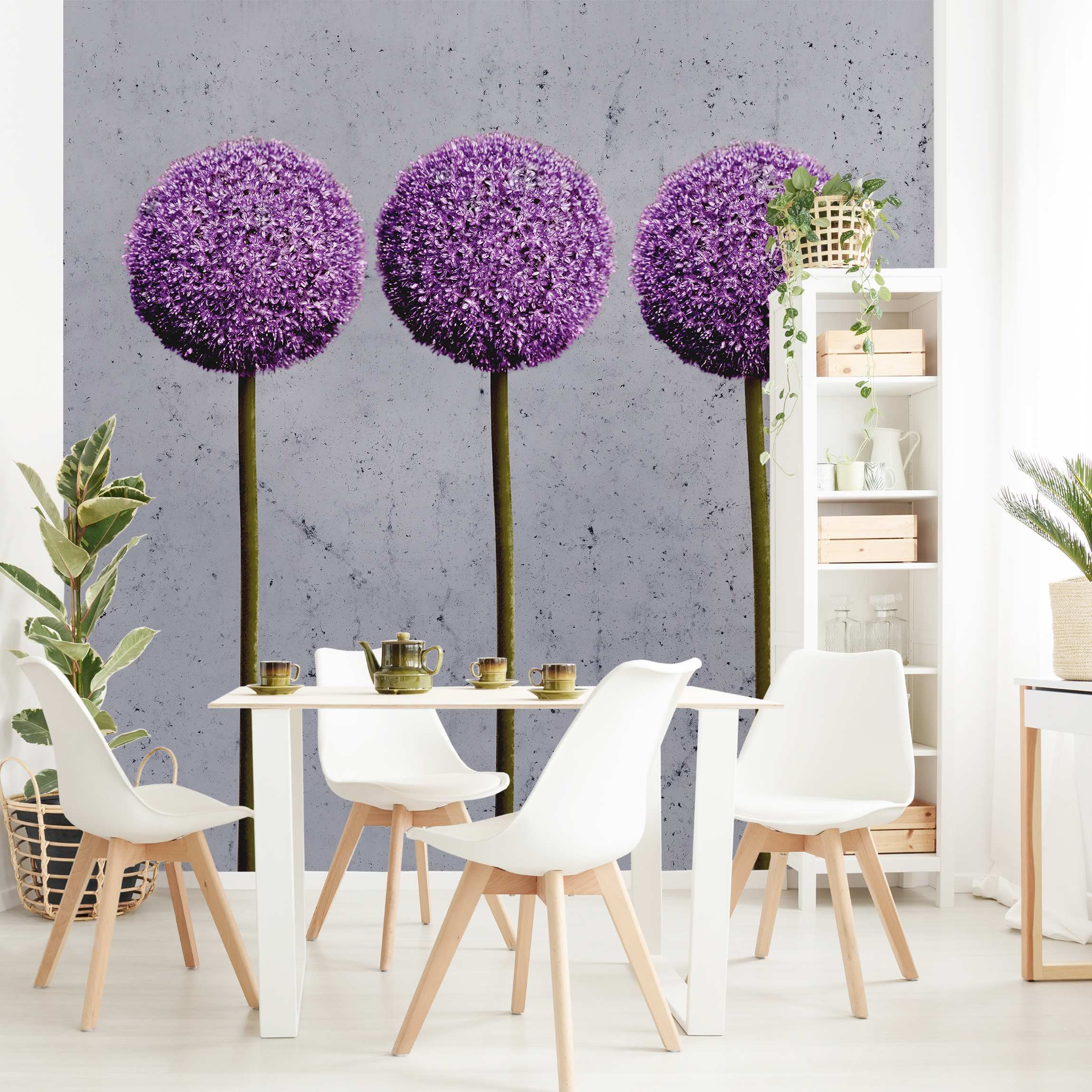 Fototapete Allium Kugel-Blüten