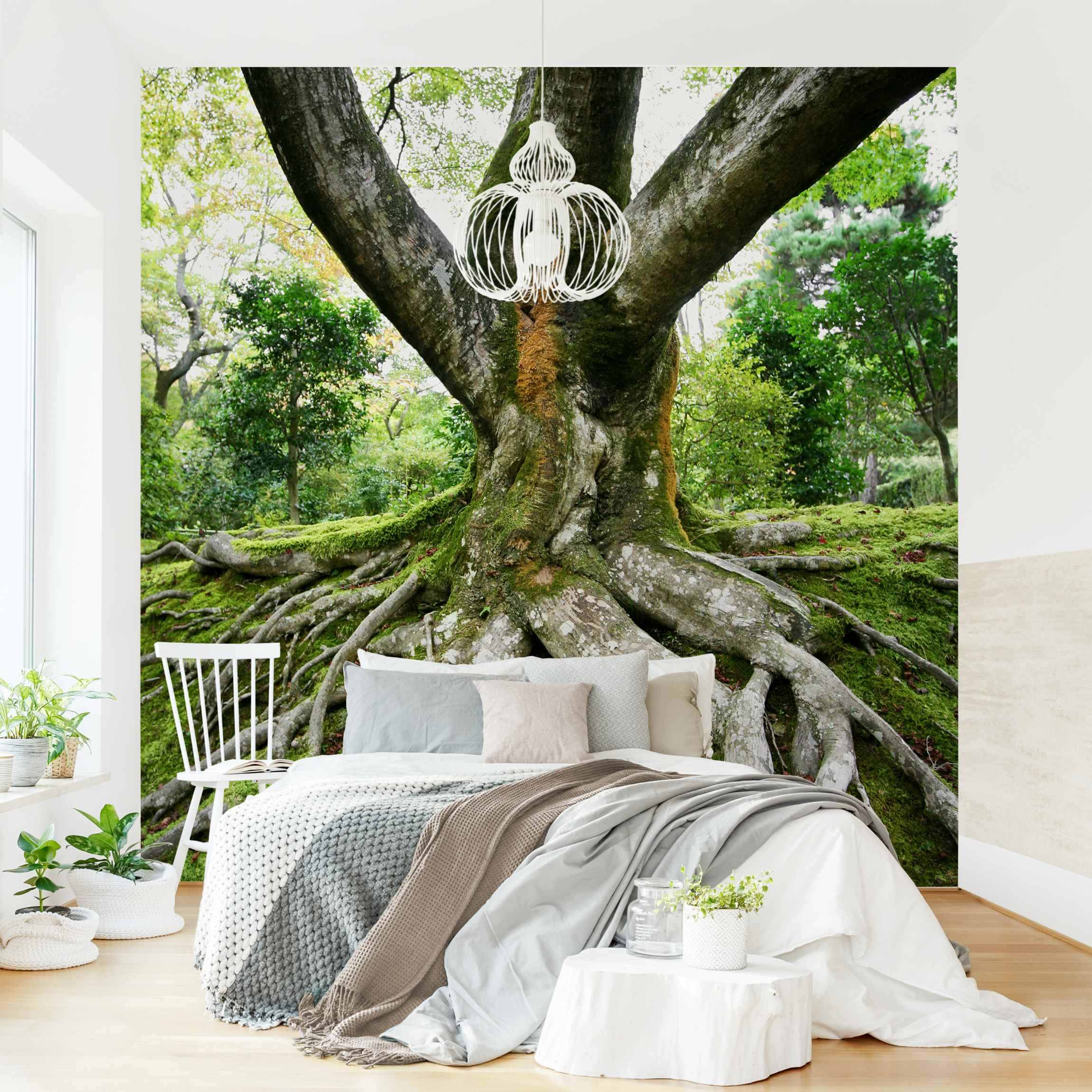 Fototapete Natur Alter Baum