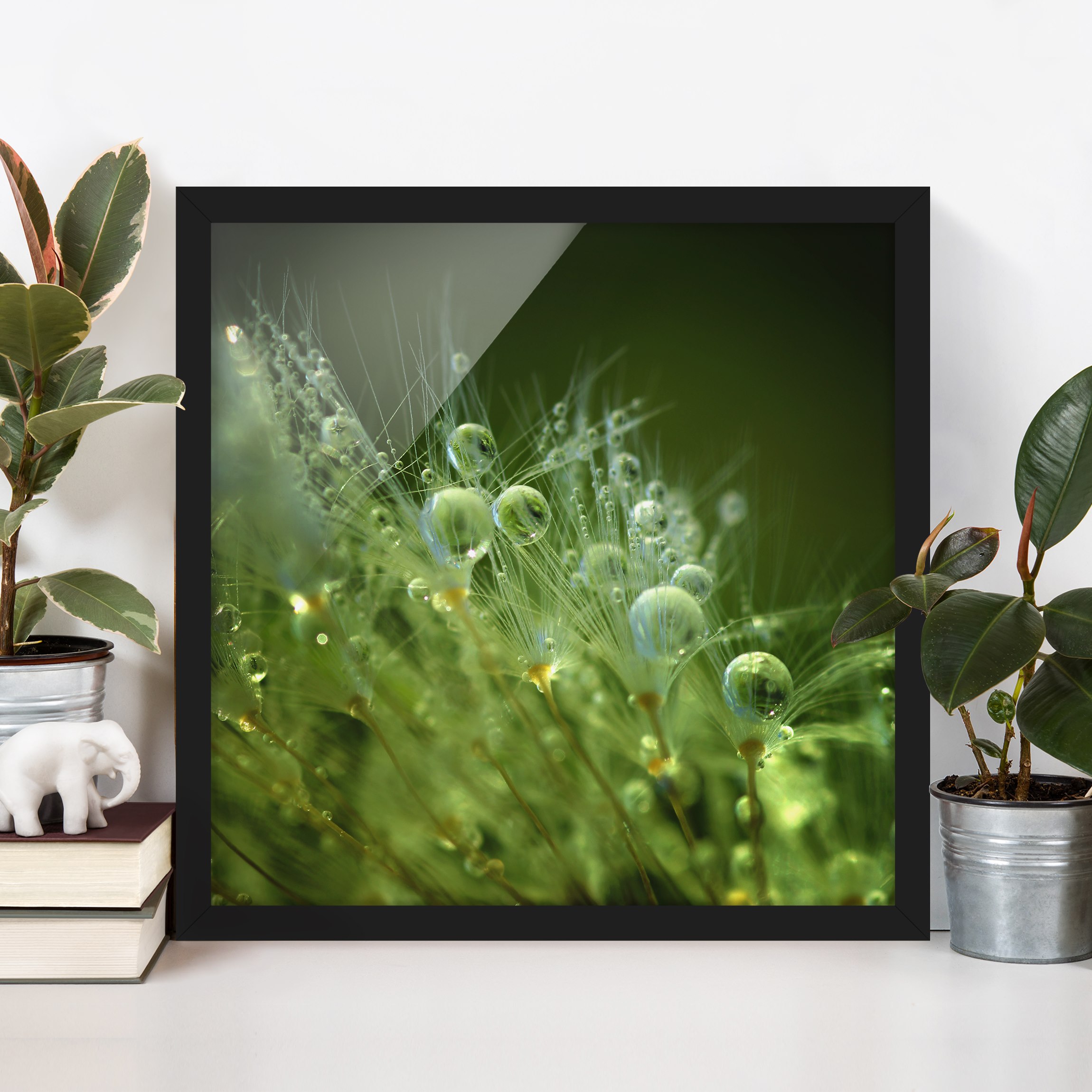Bild mit Rahmen - Quadrat Grüne Samen im Regen