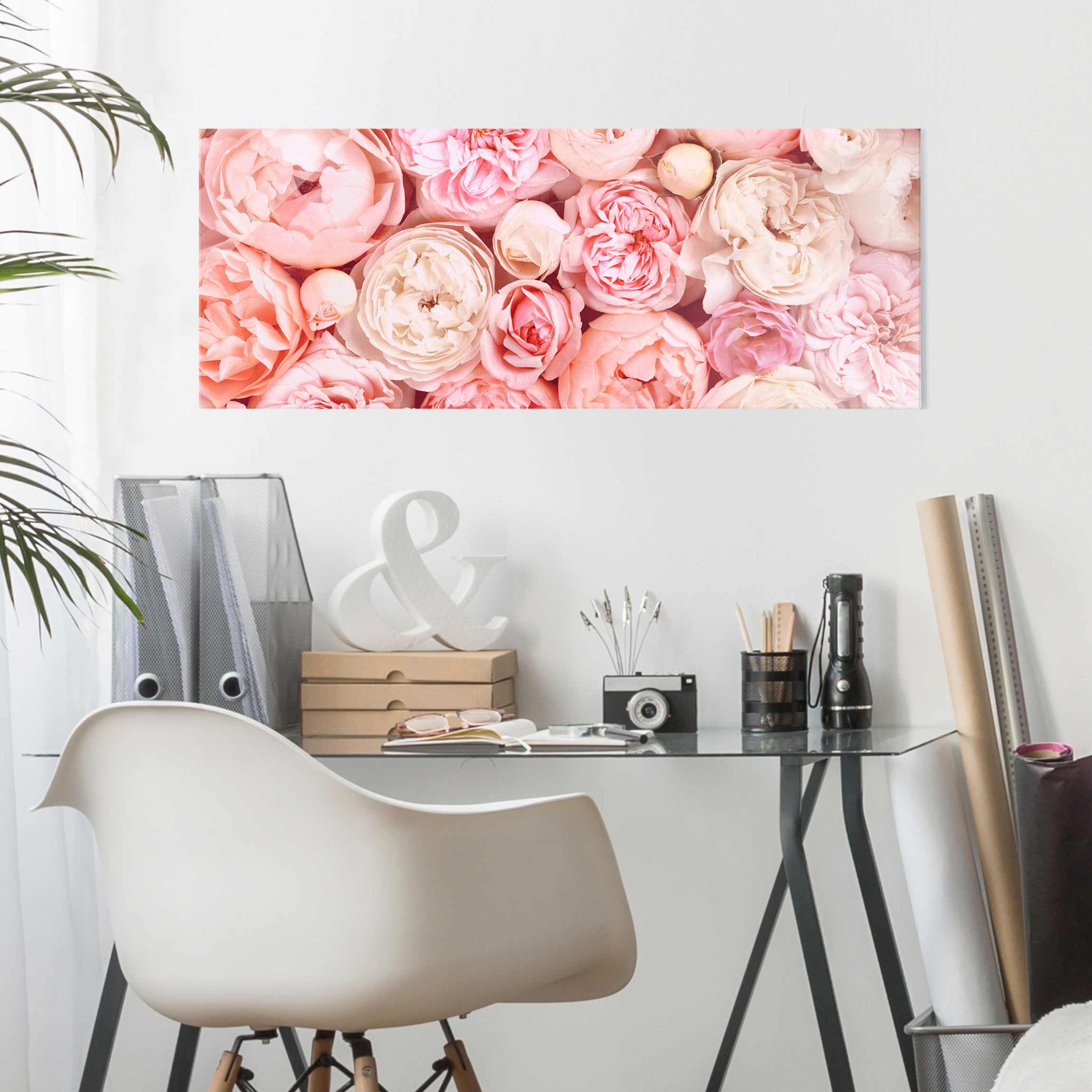 Glasbild - Panorama Rosen Rosé Koralle Shabby