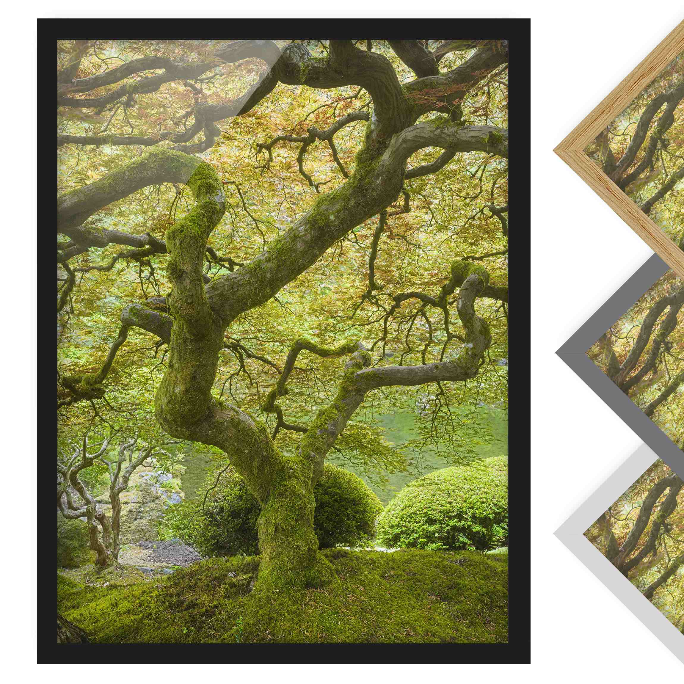 Bild mit Rahmen - Hochformat Grüner Japanischer Garten