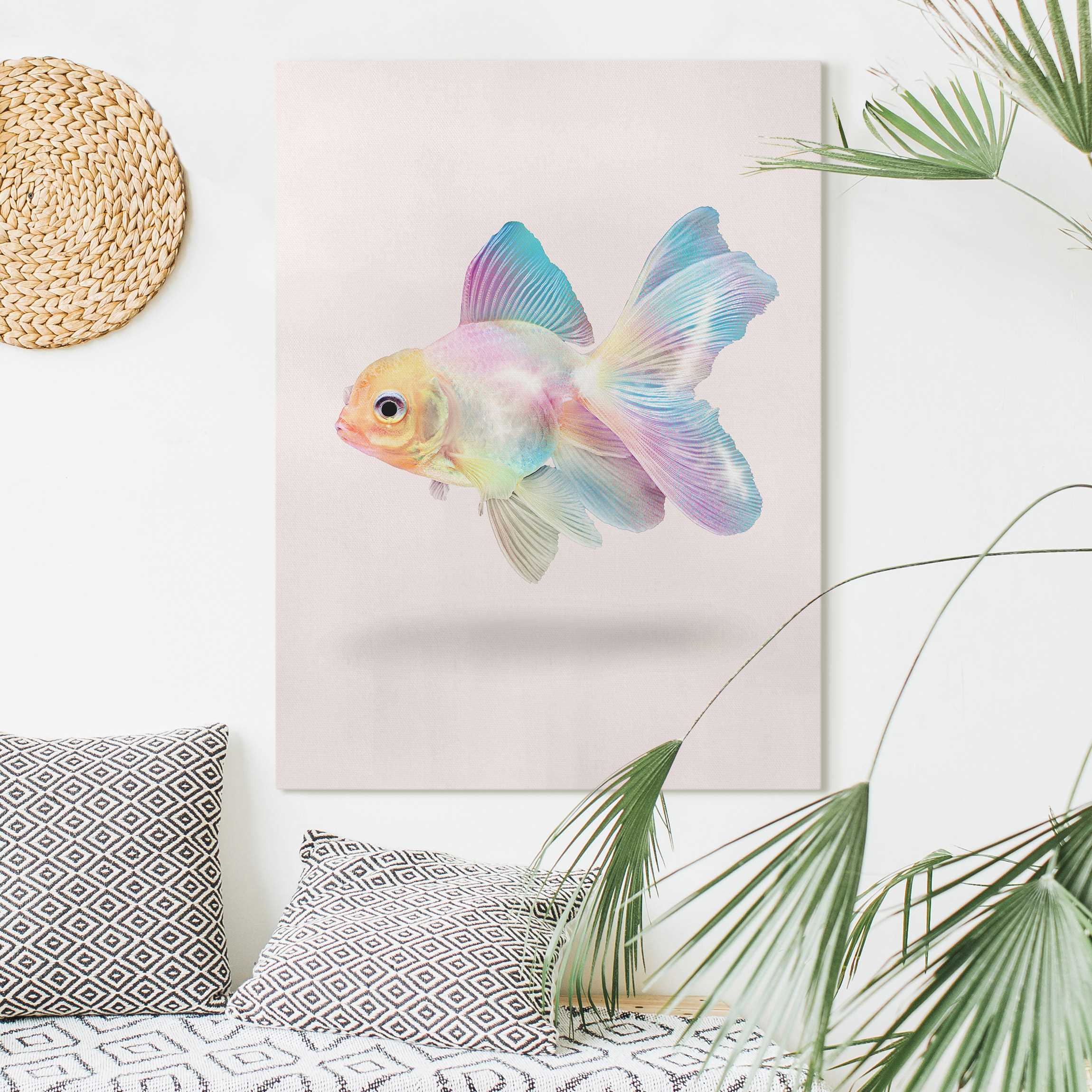 Leinwandbild Fisch in Pastell