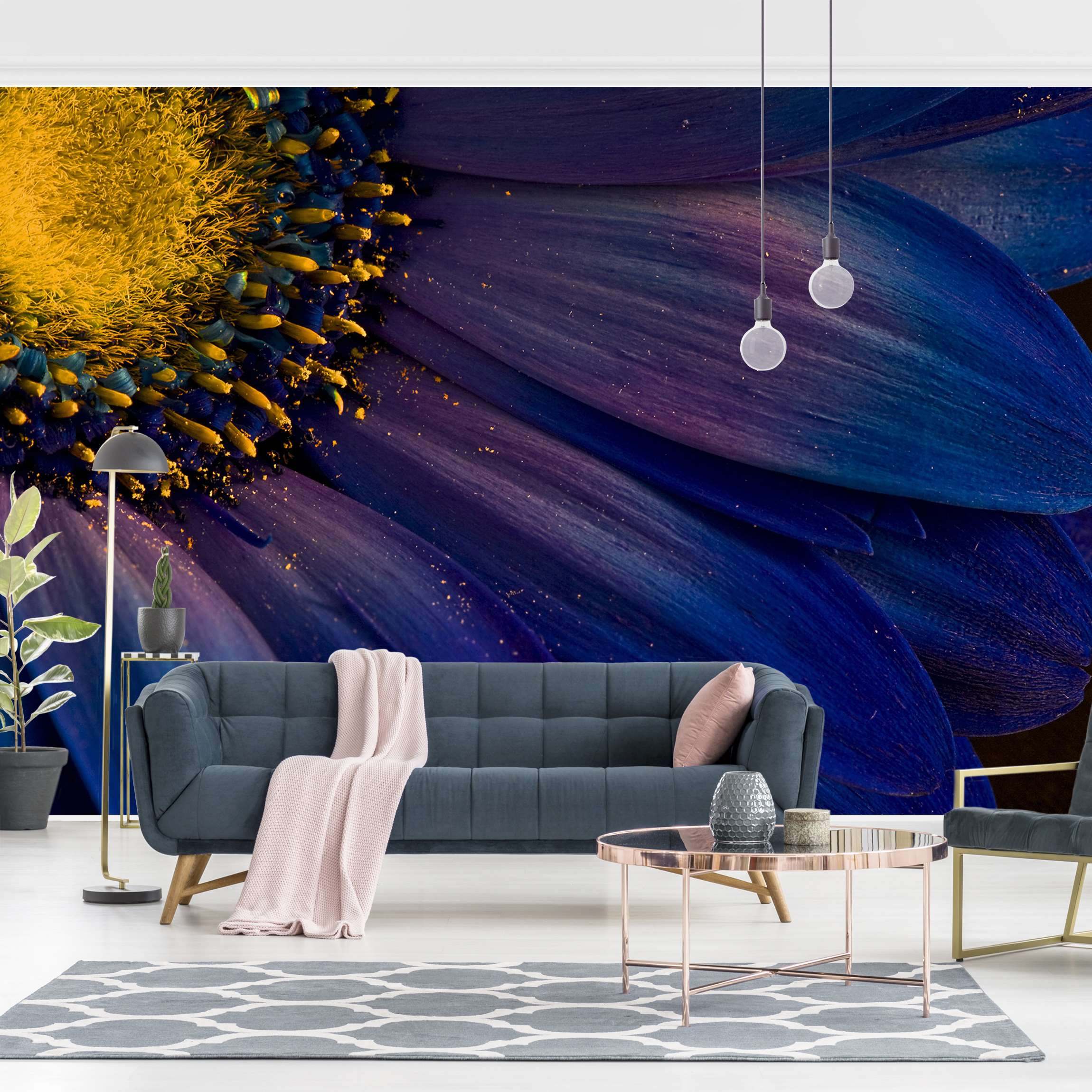 Fototapete Blumen Blaue Gerberablüte
