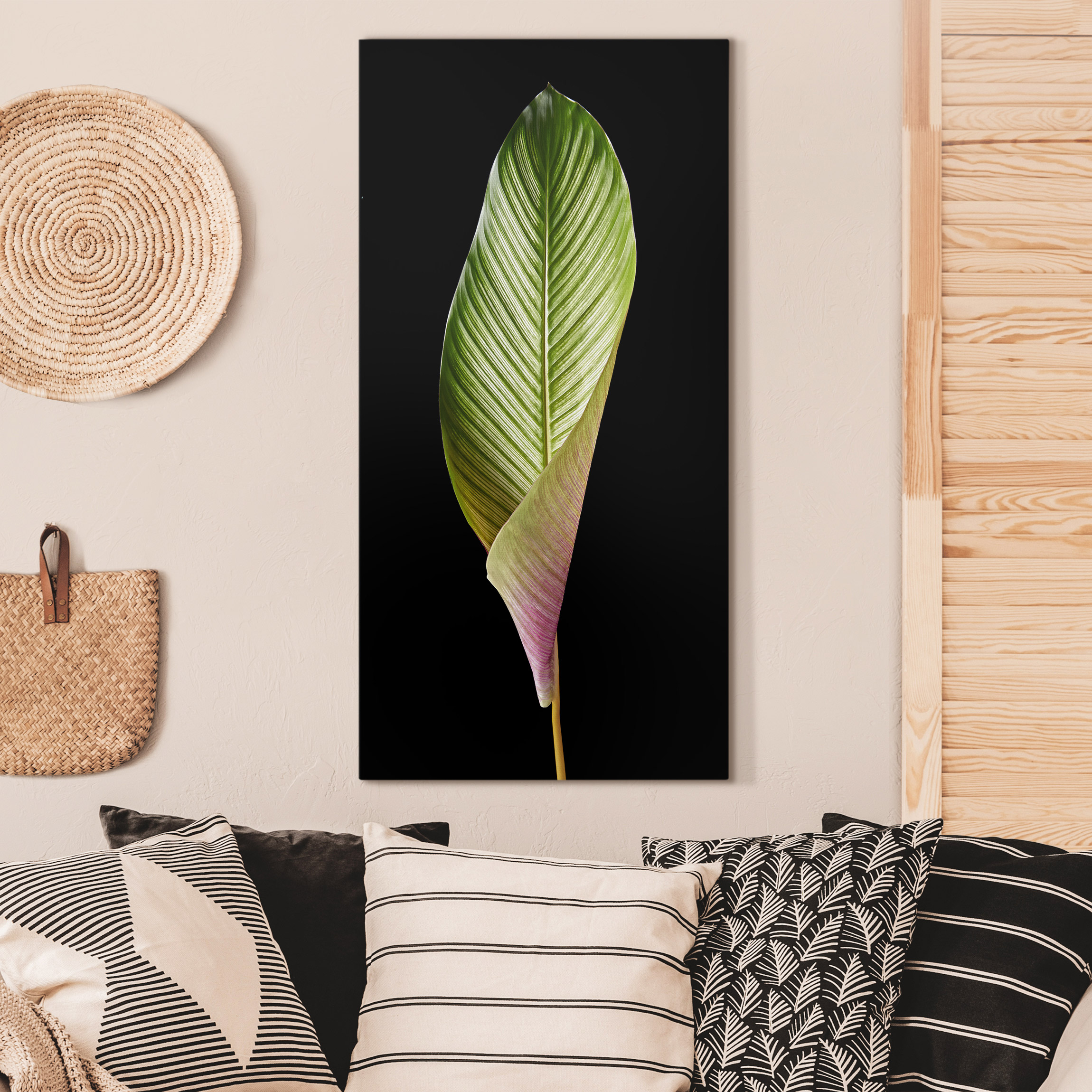 Leinwandbild Küche Blatt Calathea-ornata auf Schwarz 03