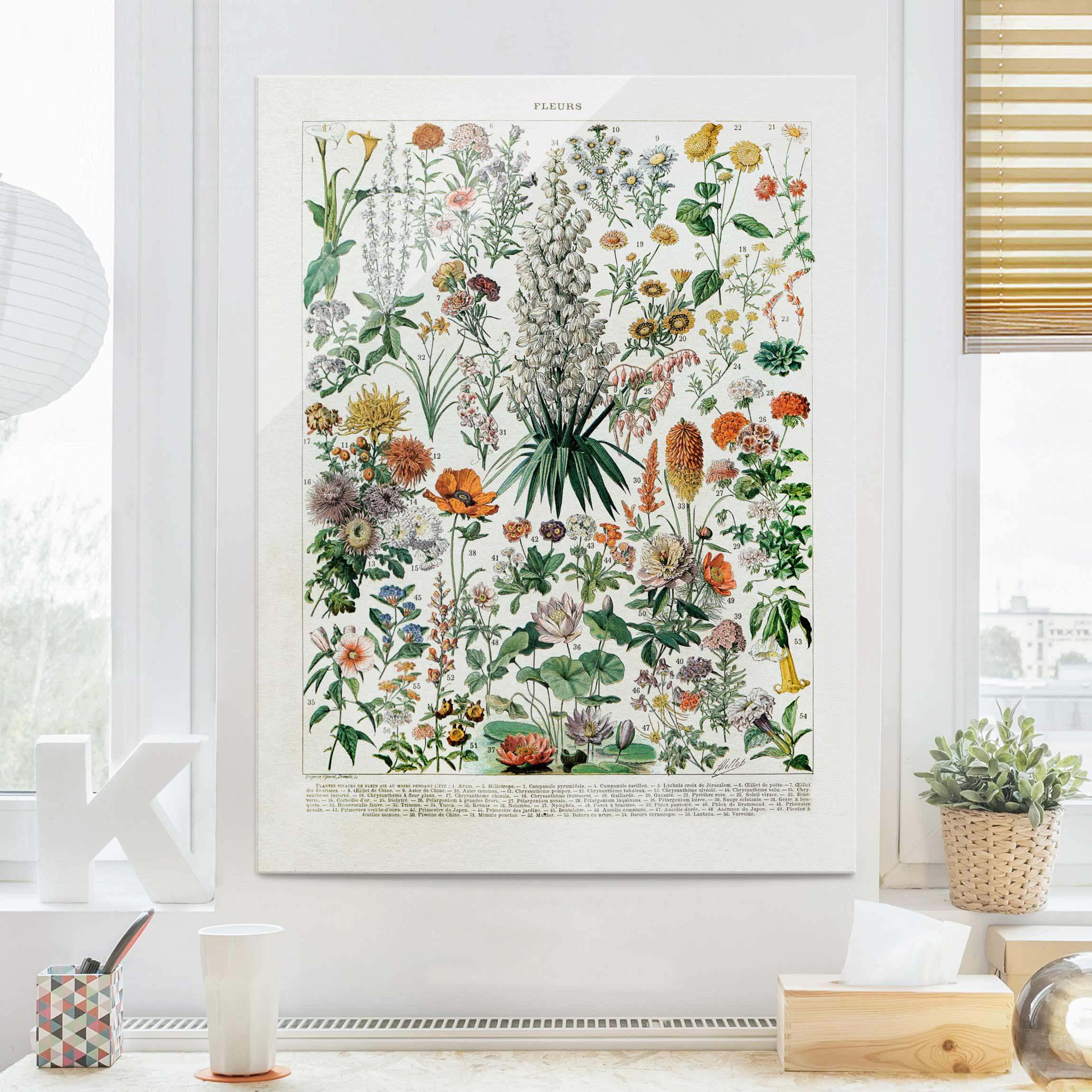 Glasbild - Hochformat Vintage Lehrtafel Blumen I