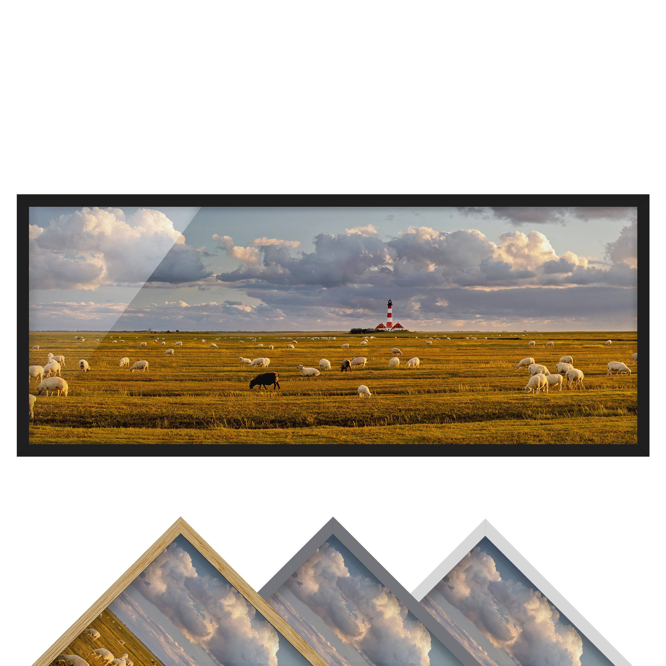 Bild mit Rahmen - Panorama Nordsee Leuchtturm mit Schafsherde