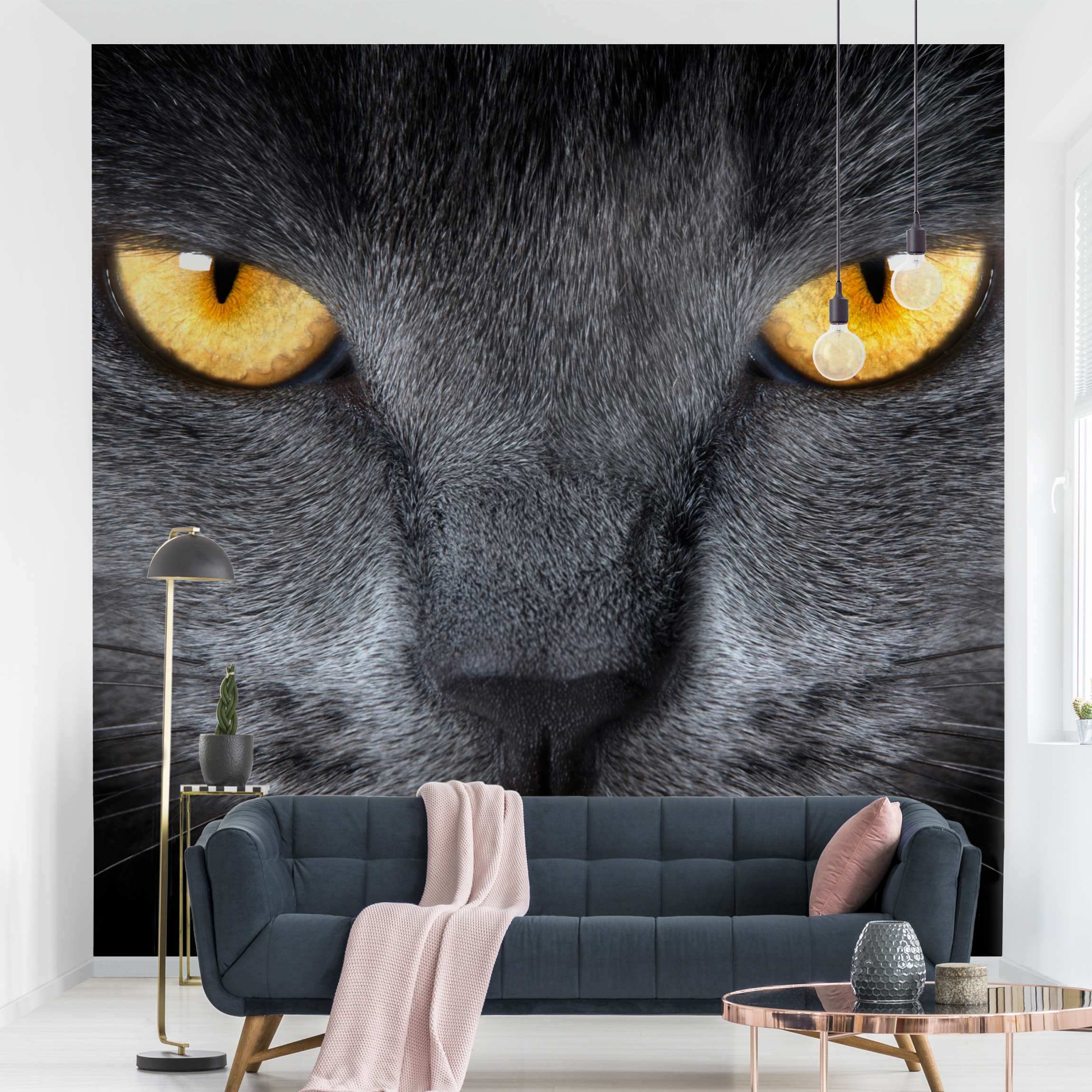 Fototapete Tiere Cats Gaze