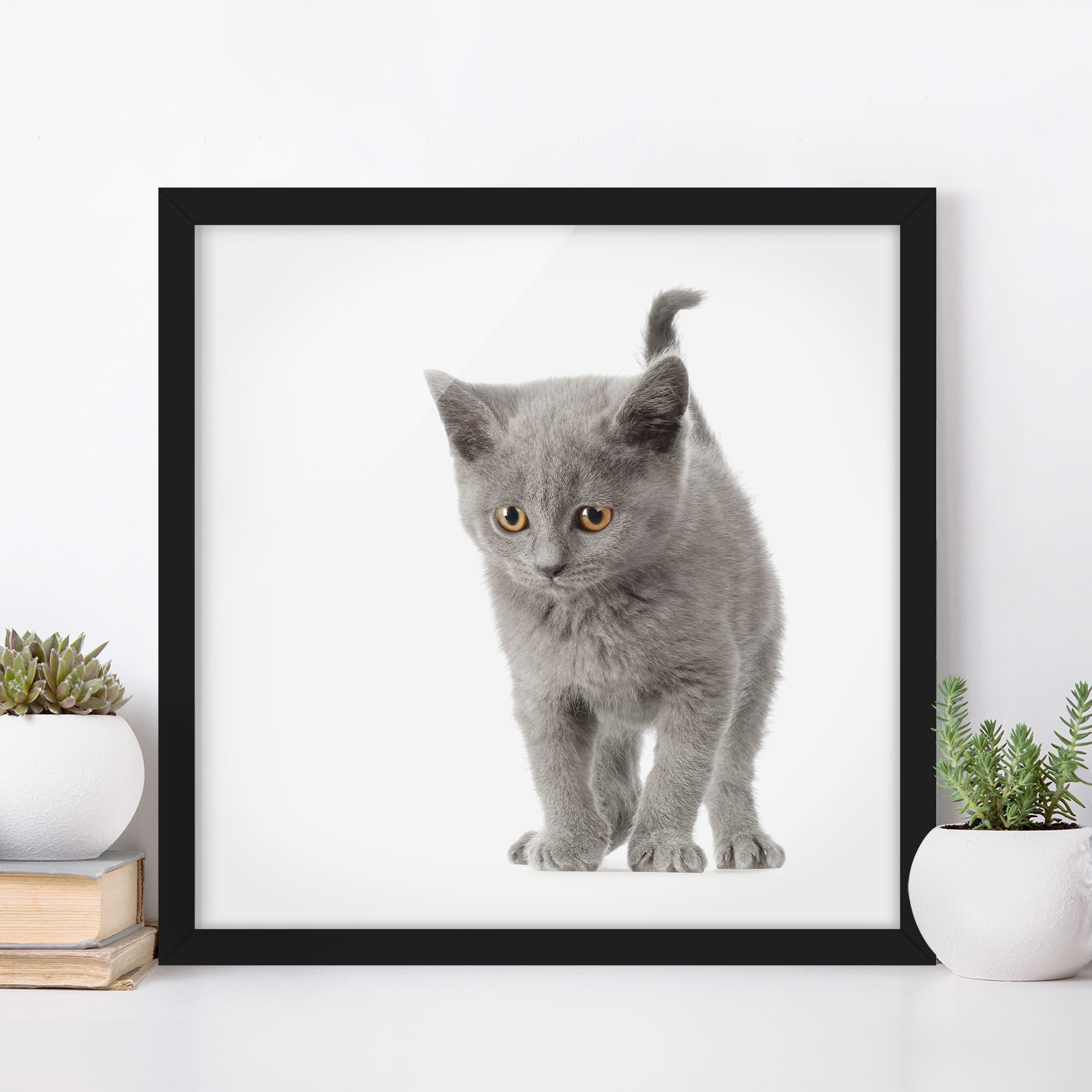 Bild mit Rahmen - Quadrat Mini Miez