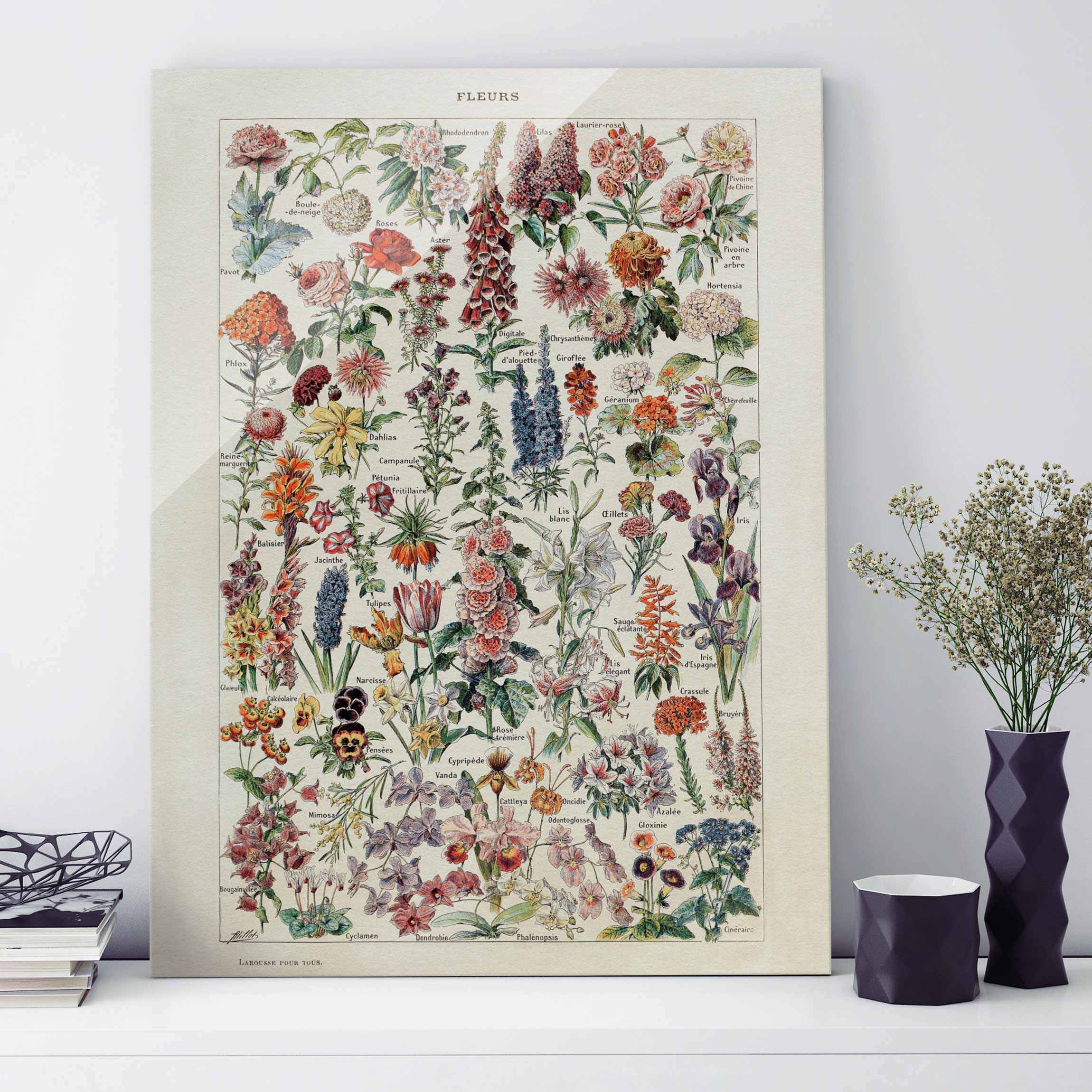 Glasbild - Hochformat Vintage Lehrtafel Blumen V