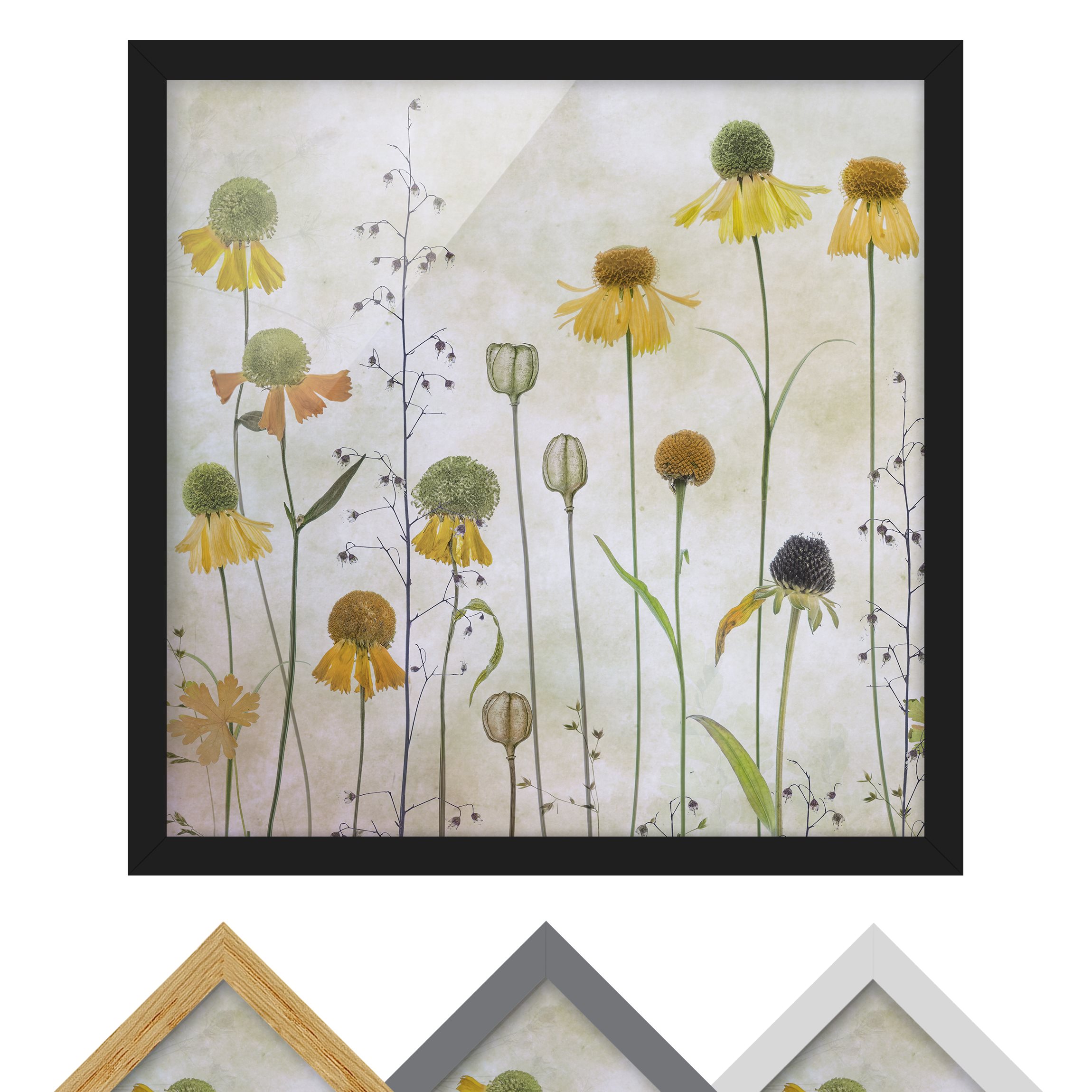 Bild mit Rahmen - Quadrat Zarte Helenium Blüten