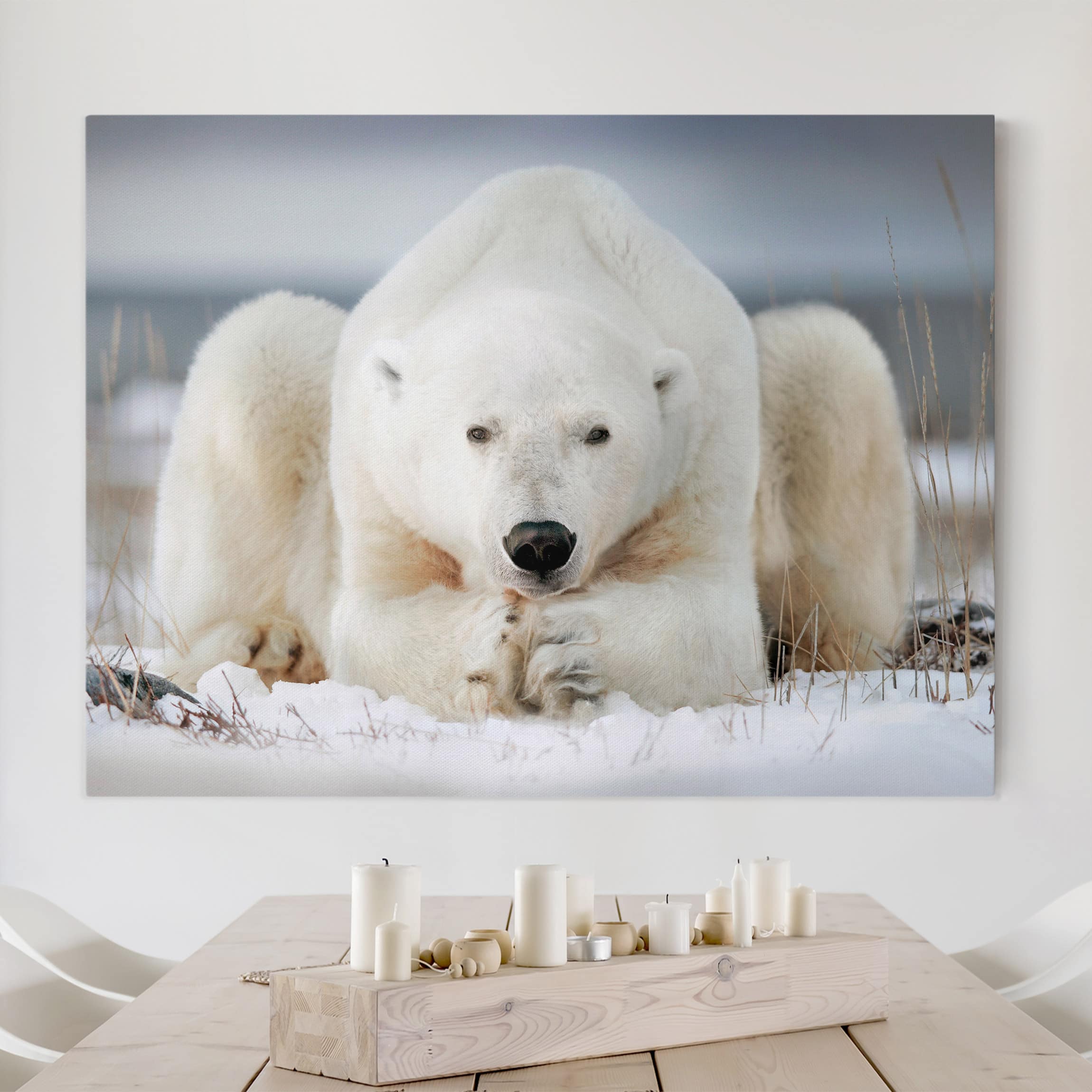 Leinwandbild Tiere Nachdenklicher Eisbär