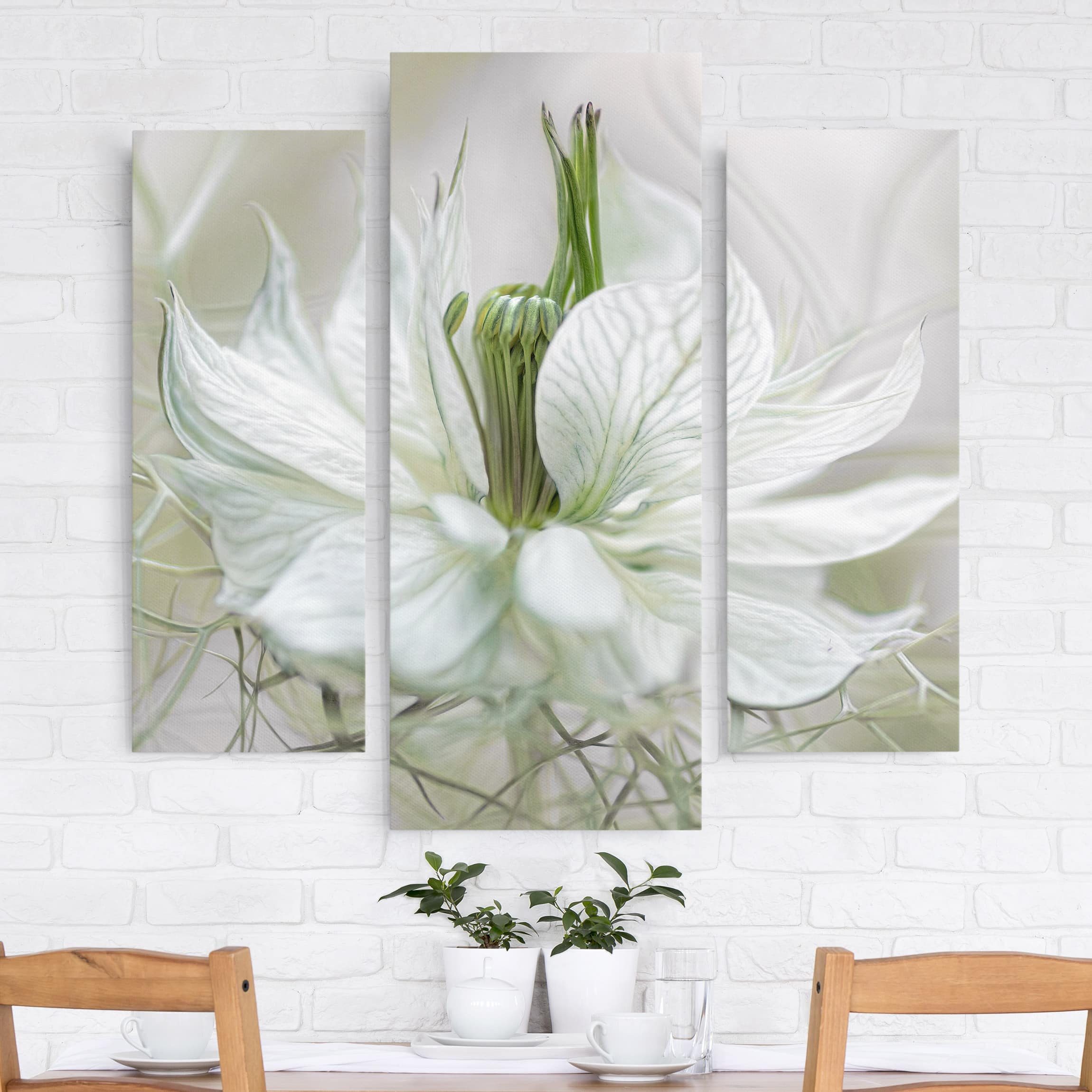 3-teiliges Leinwandbild Blumen Weiße Nigella
