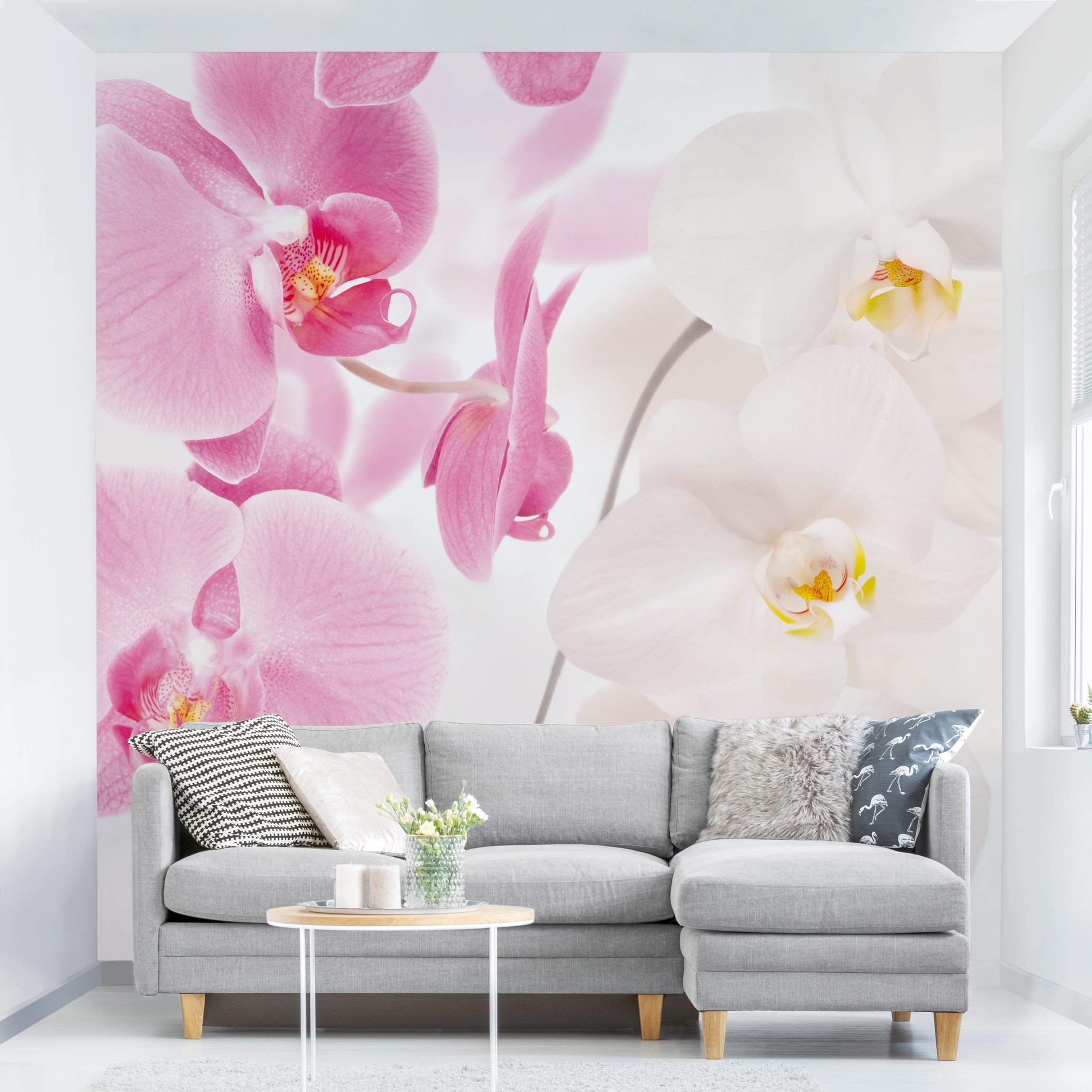 Fototapete Blumen Delicate Orchids