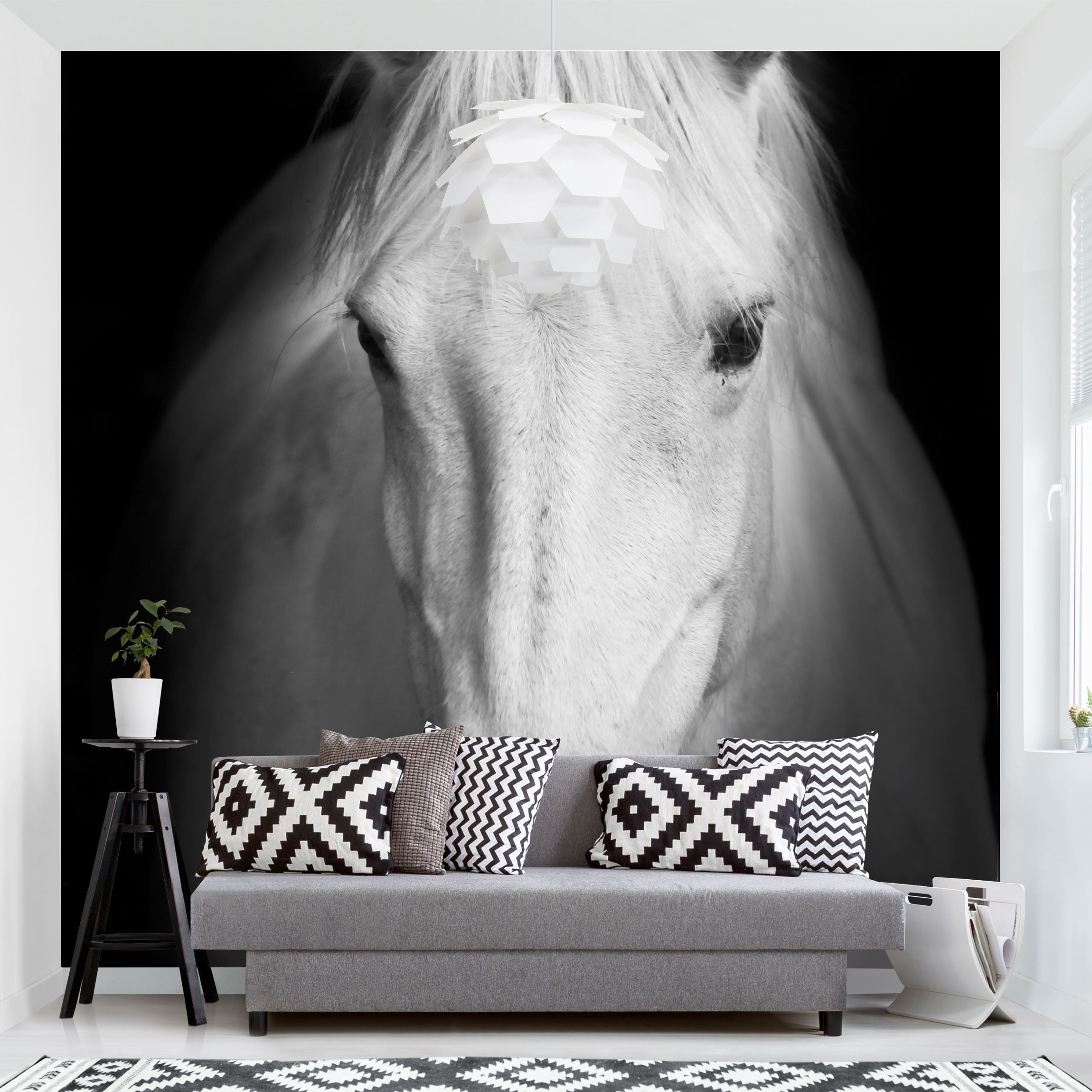 Fototapete Dream of a Horse