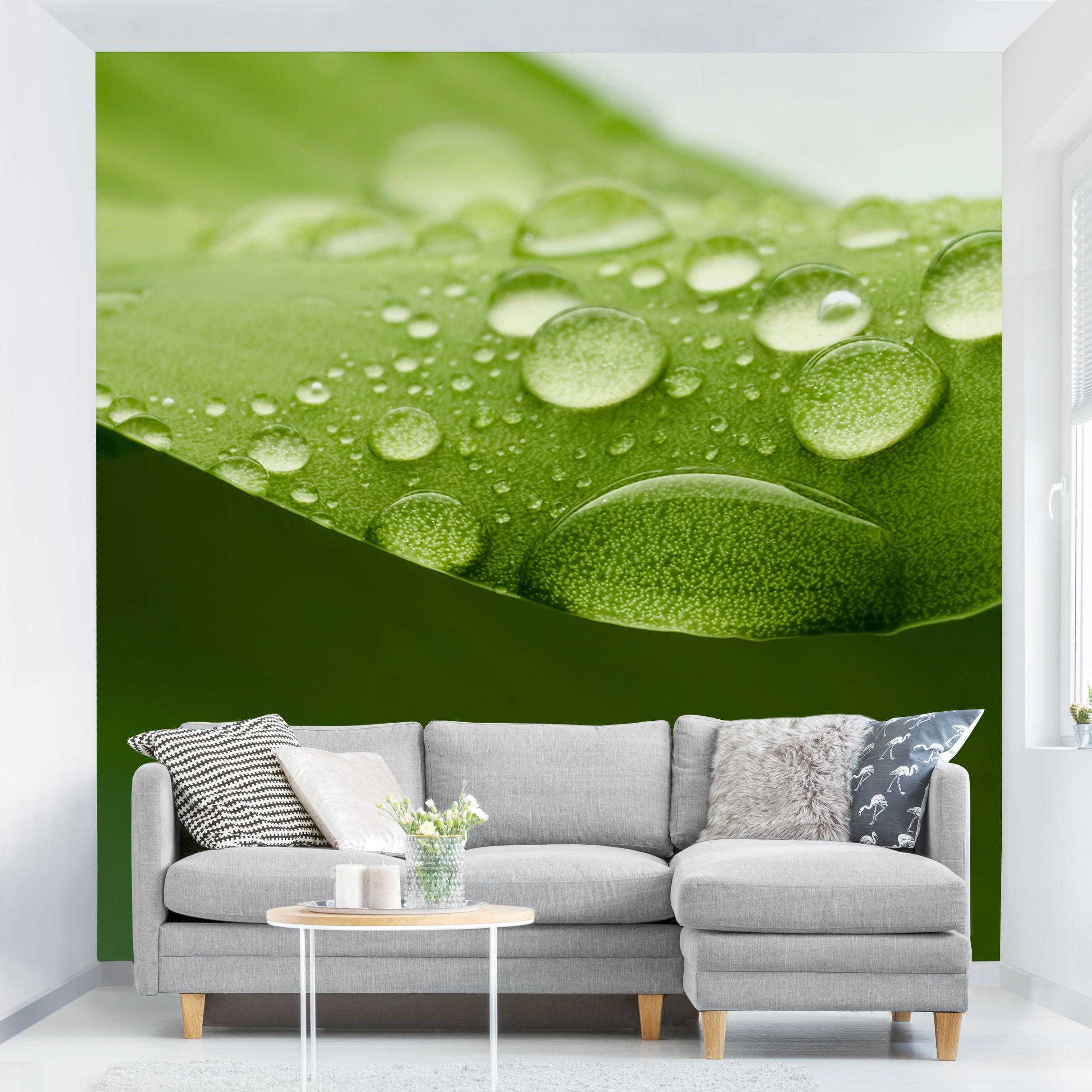 Fototapete Blumen Drops of Nature