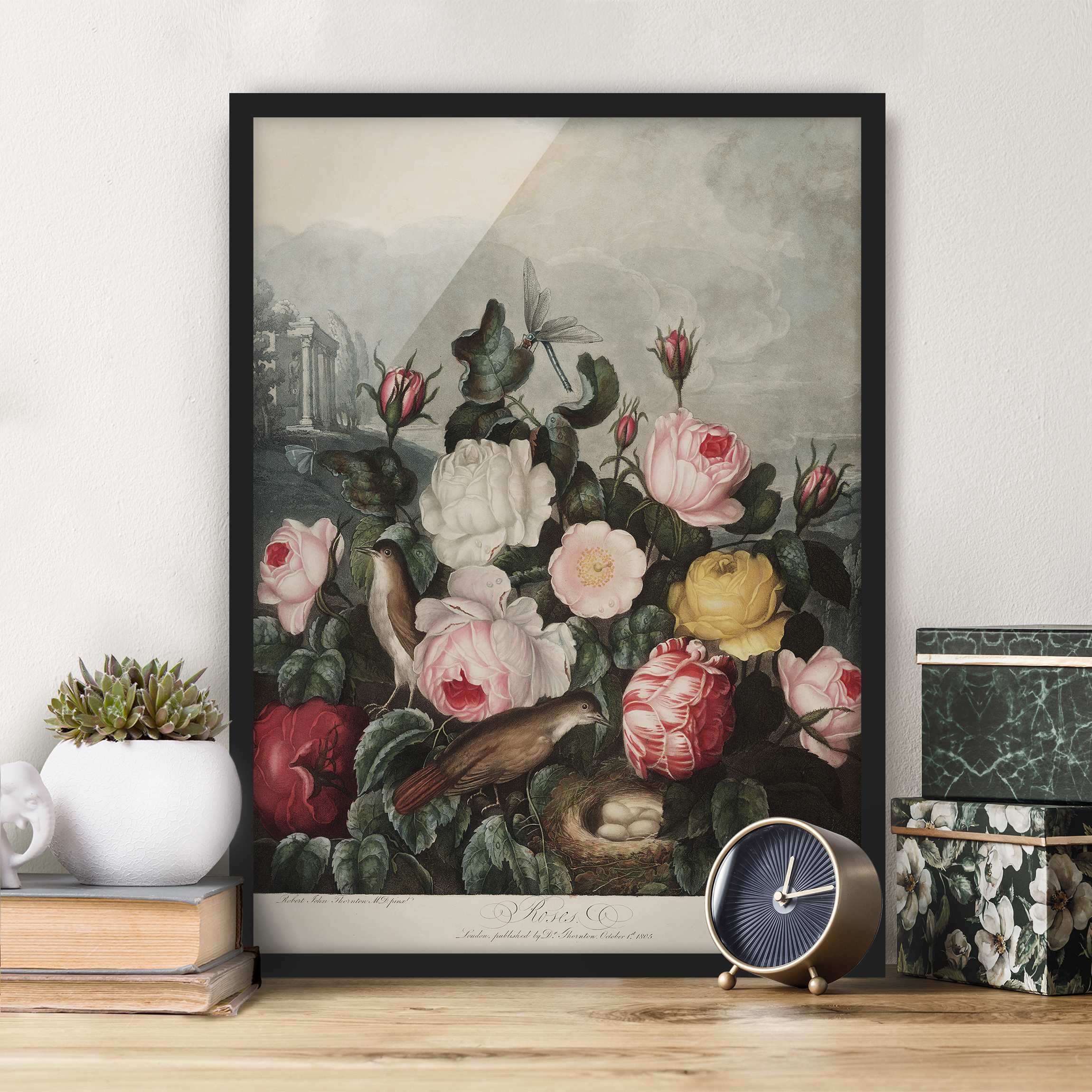 Bild mit Rahmen - Hochformat Botanik Vintage Illustration Rosen
