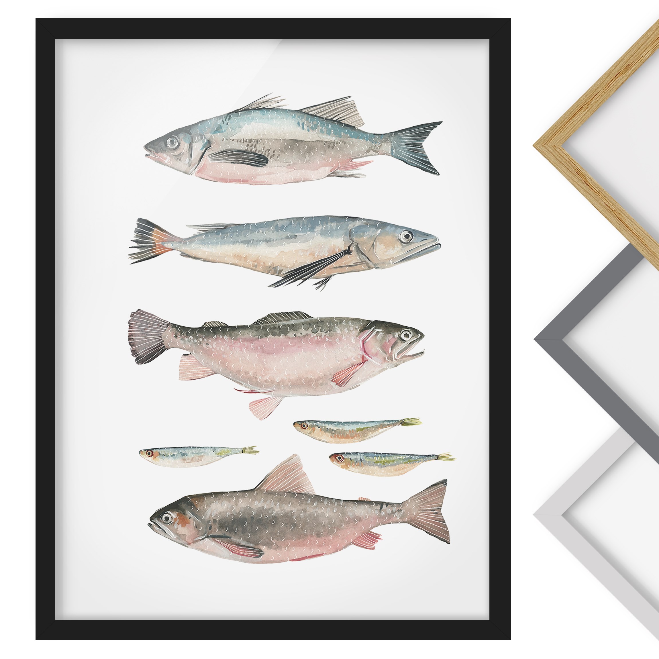 Aquarell Bild mit Rahmen Sieben Fische in Aquarell I