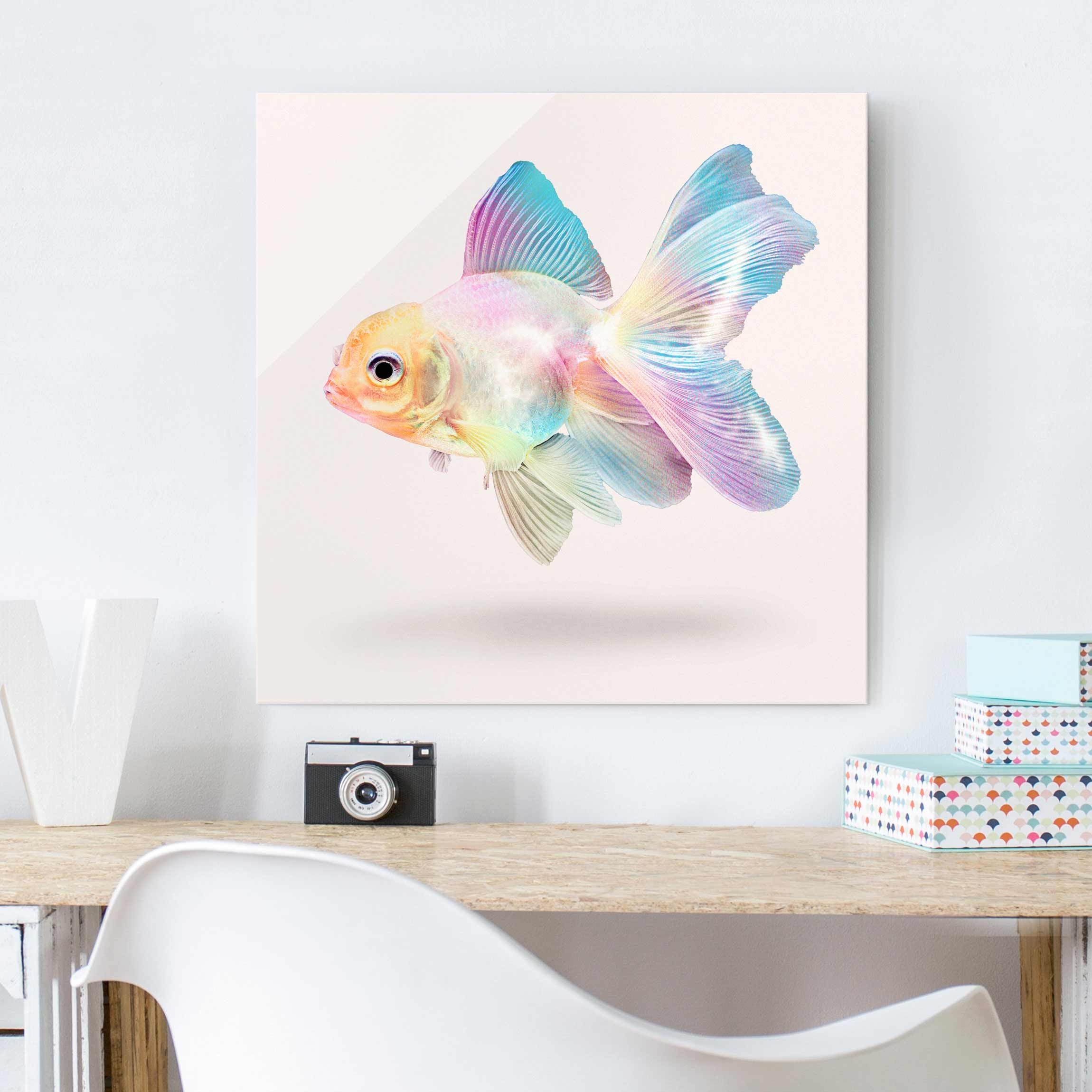 Glasbild - Quadrat Fisch in Pastell