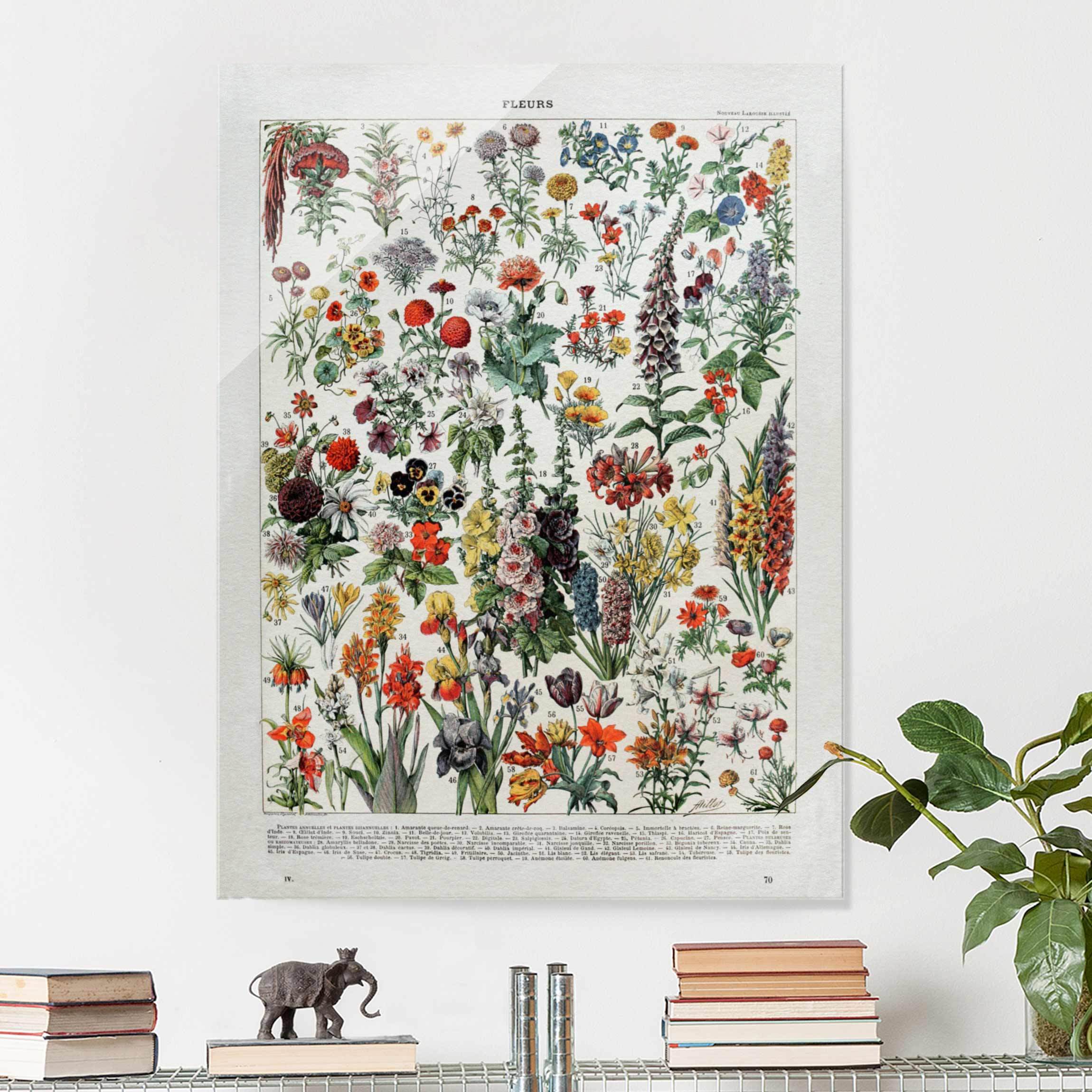 Glasbild - Hochformat Vintage Lehrtafel Blumen IV