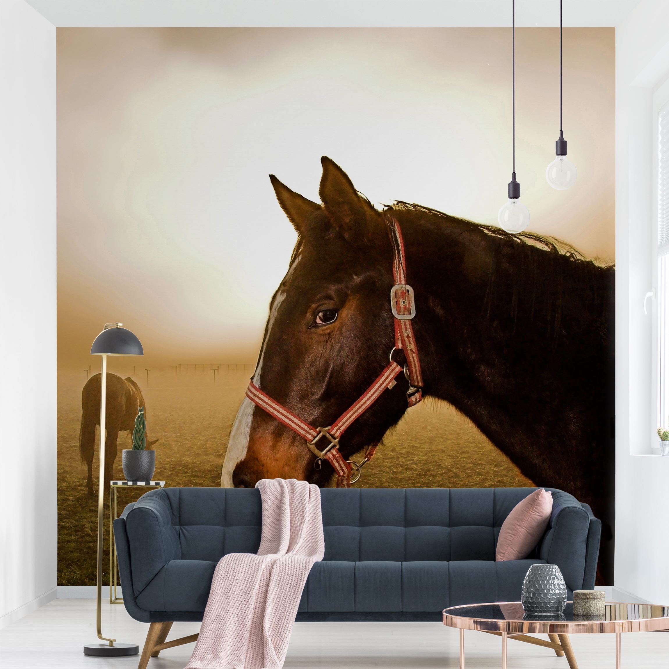 Fototapete Kinderzimmer Early Horse
