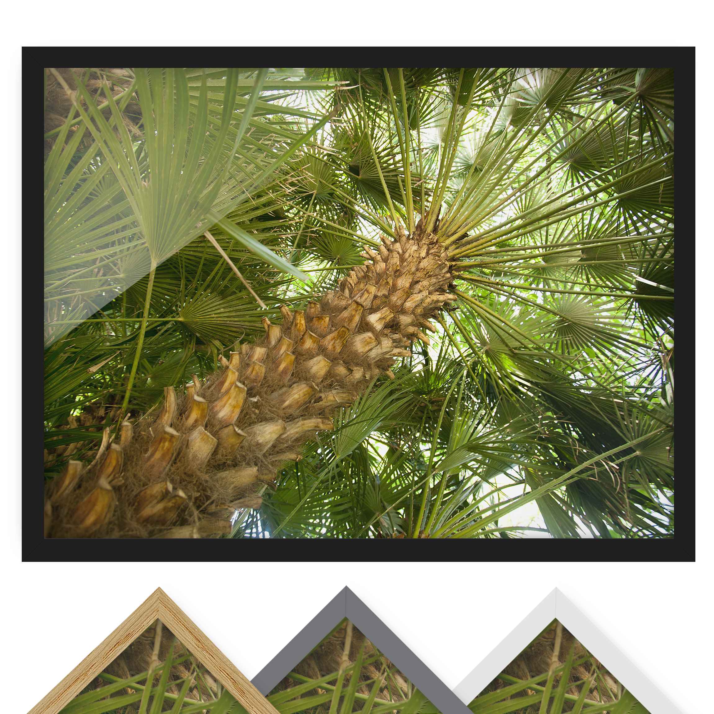 Natur & Landschaft Bild mit Rahmen Tropical Island