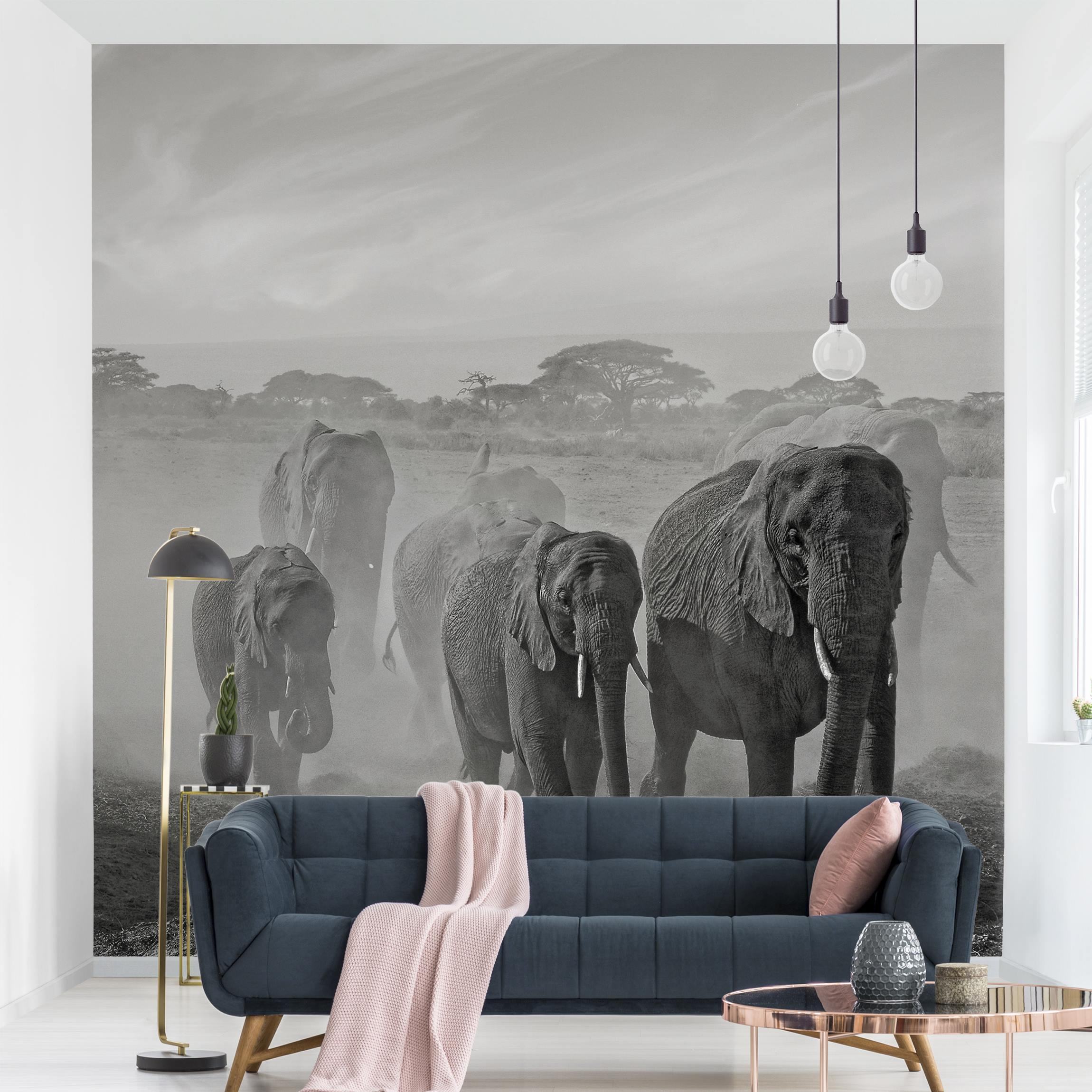 Fototapete Natur Elefantenherde