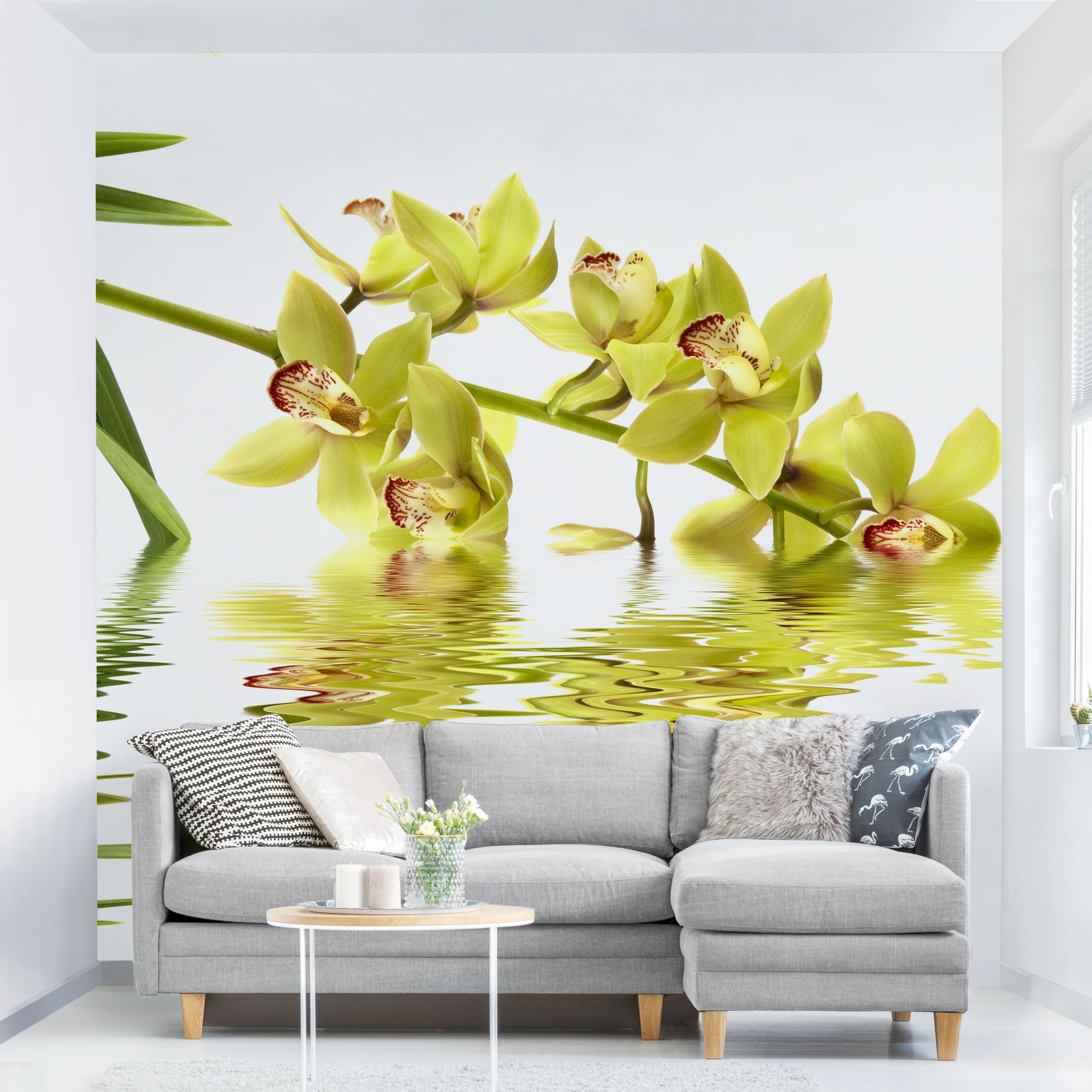 Fototapete Blumen Elegant Orchid Waters