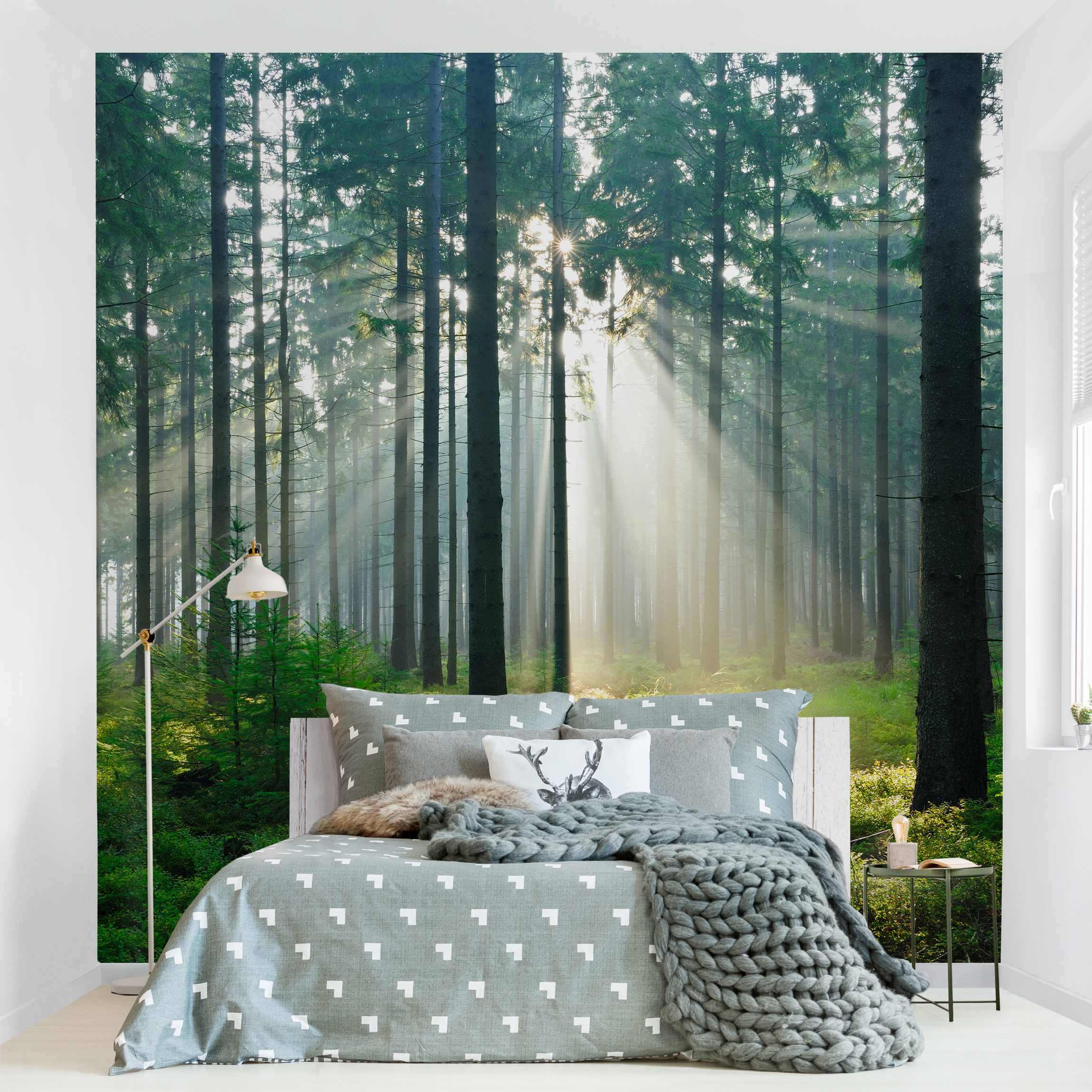 Fototapete Natur Enlightened Forest