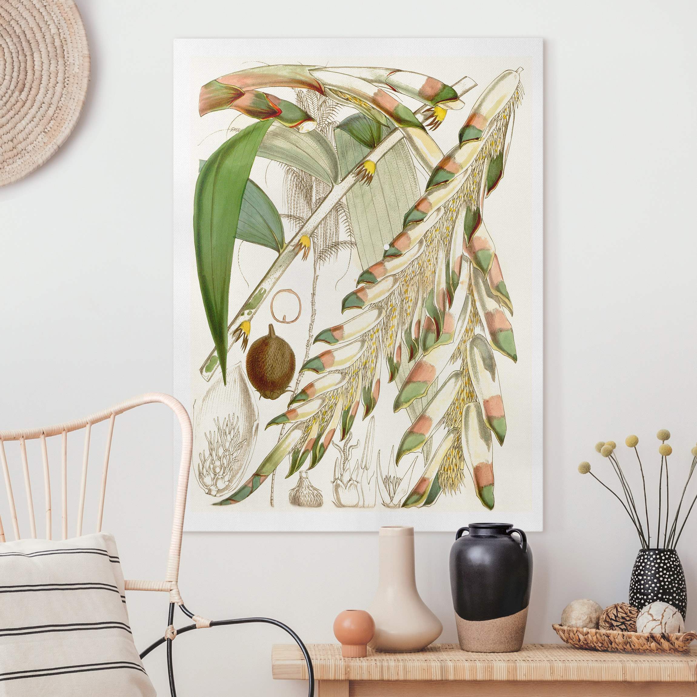 Leinwandbild Vintage Illustration Tropische Blüten III