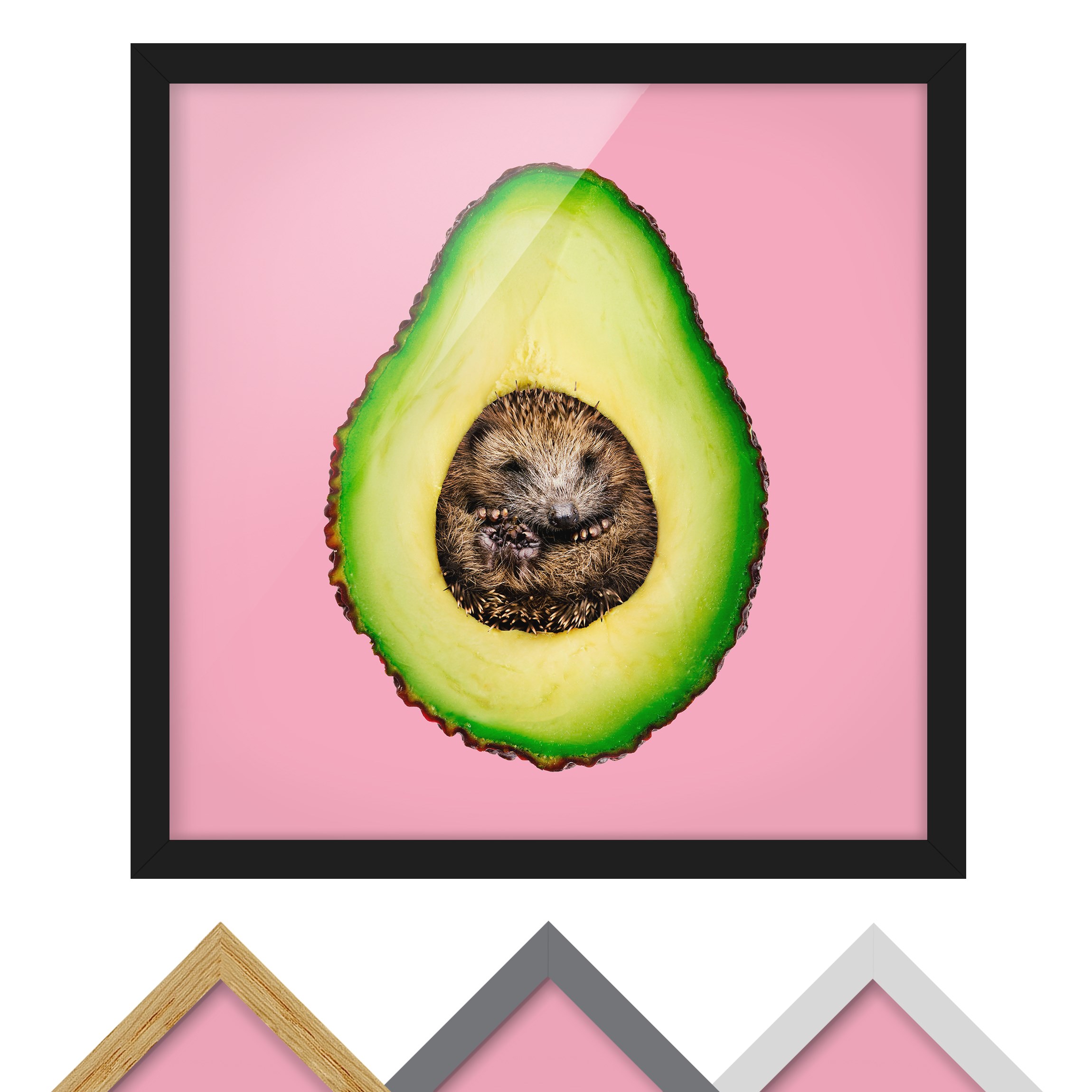 Bild mit Rahmen - Quadrat Avocado mit Igel