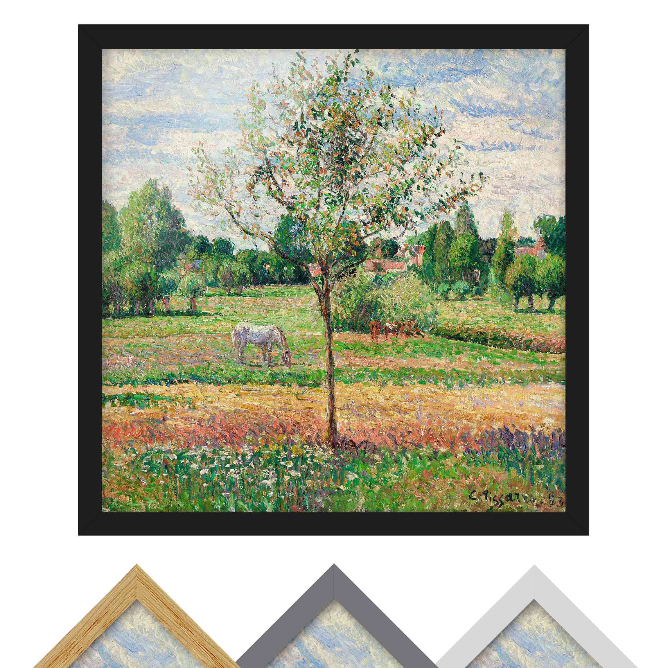 Bild mit Rahmen - Quadrat Camille Pissarro - Wiese mit Schimmel