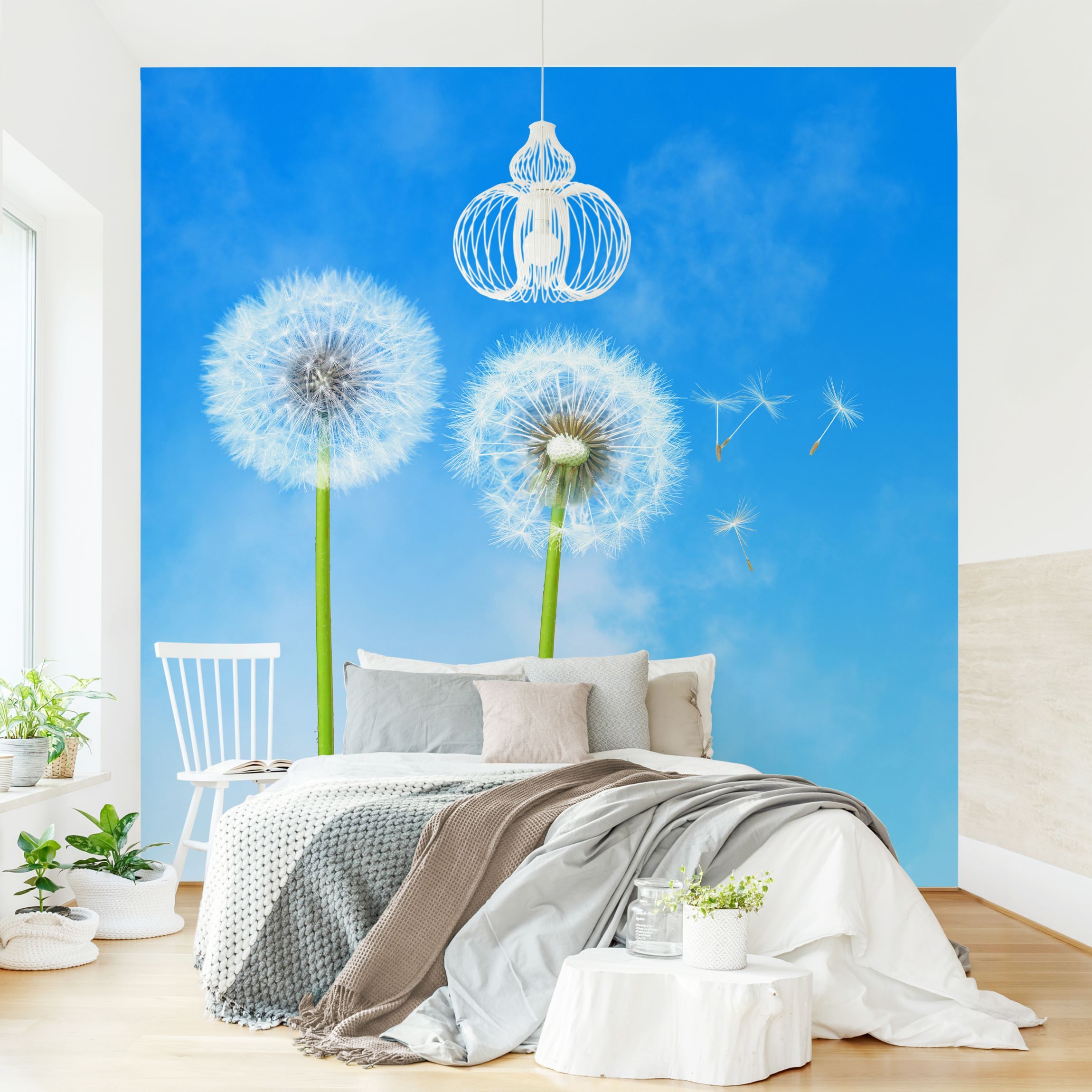 Fototapete Blumen Flying Seeds