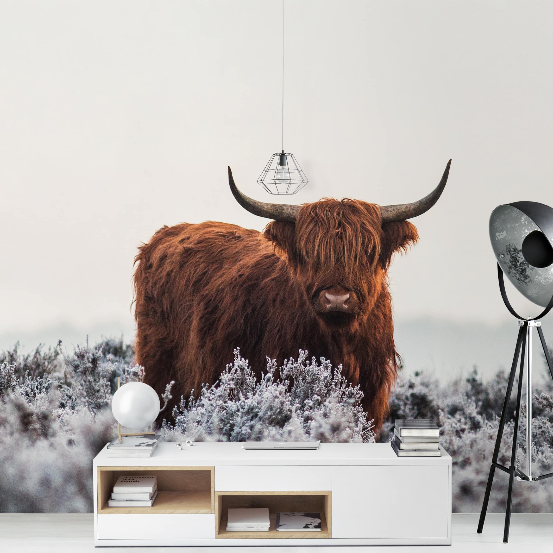 Fototapete Tiere Bison in den Highlands