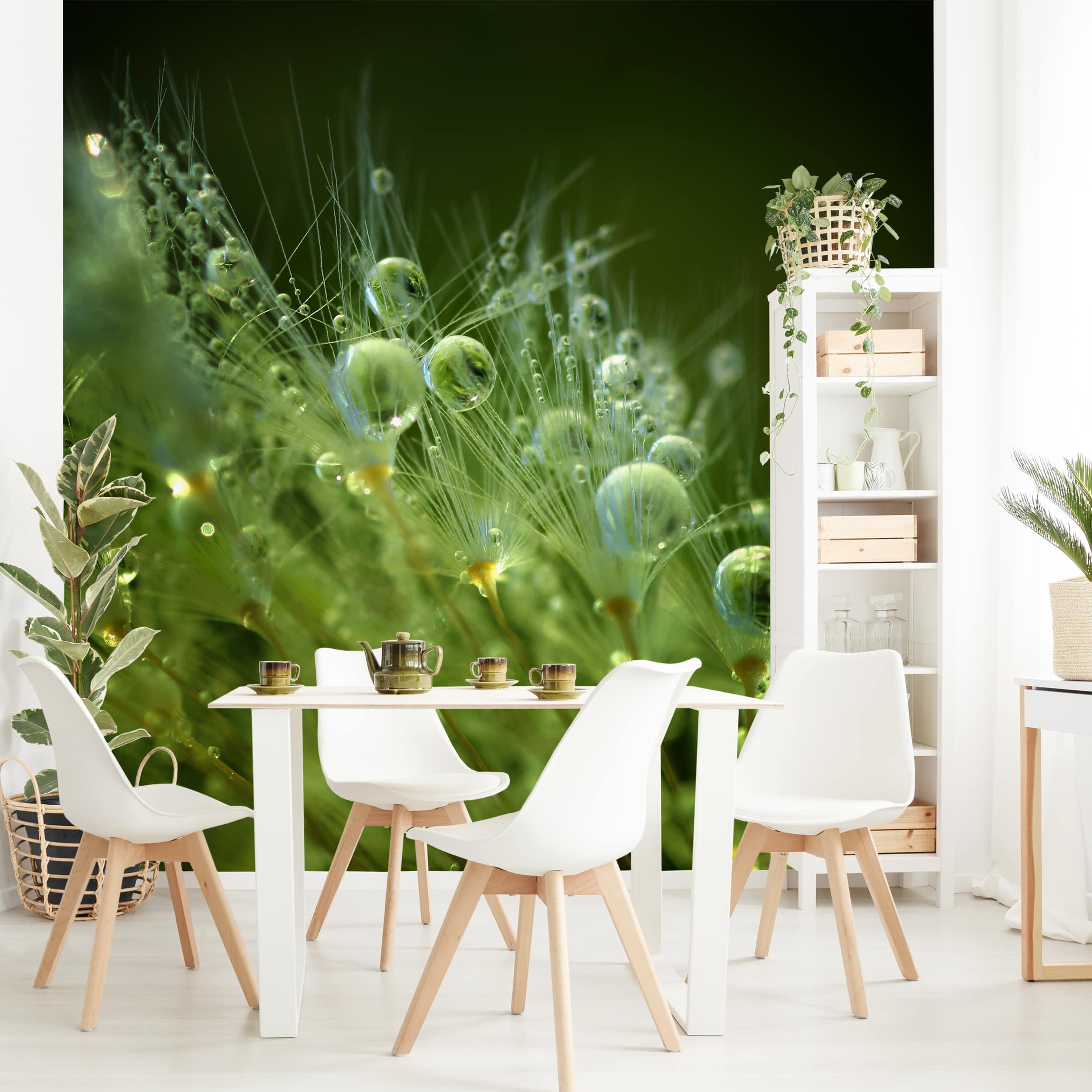Fototapete Blumen Grüne Samen im Regen