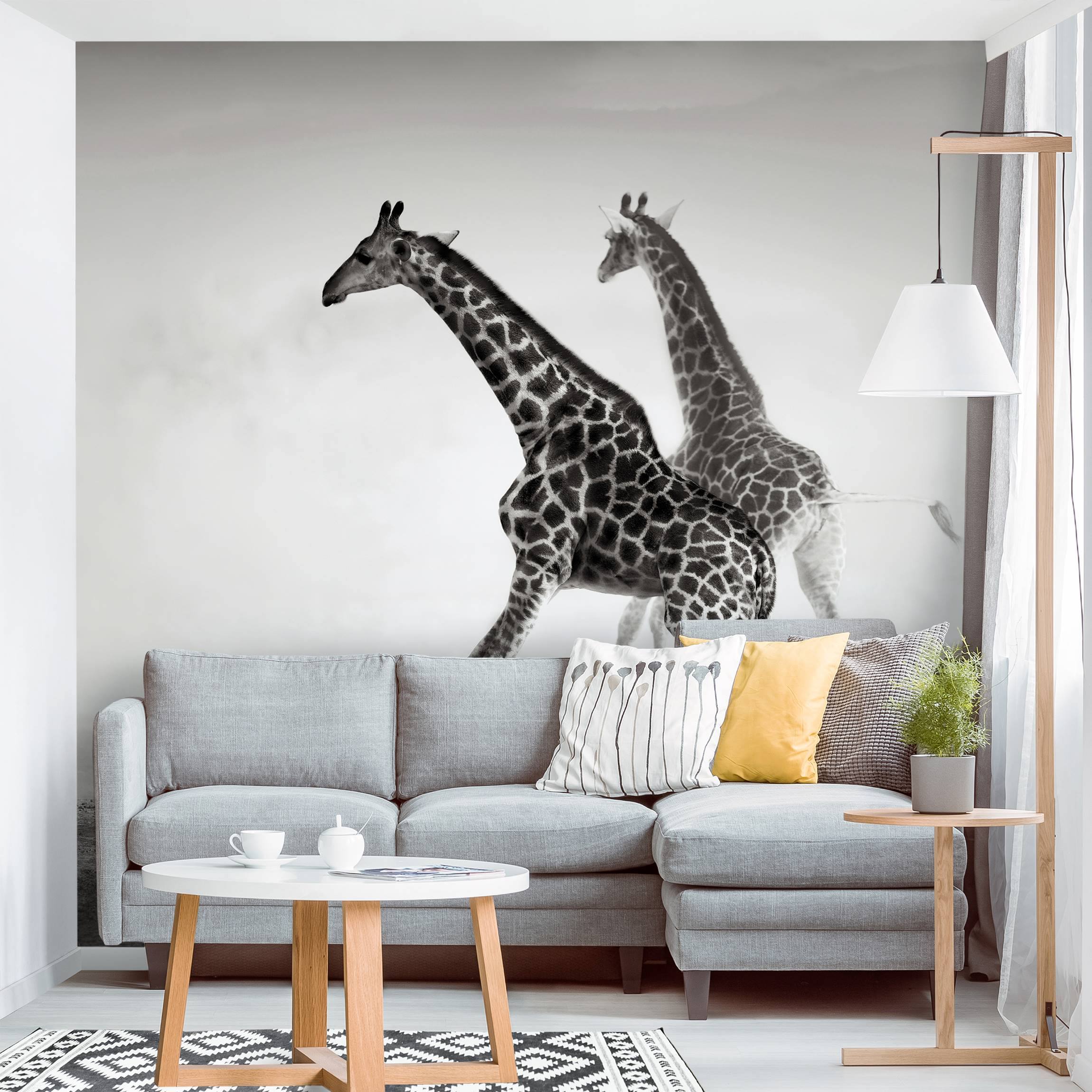 Fototapete Tiere Giraffenjagd