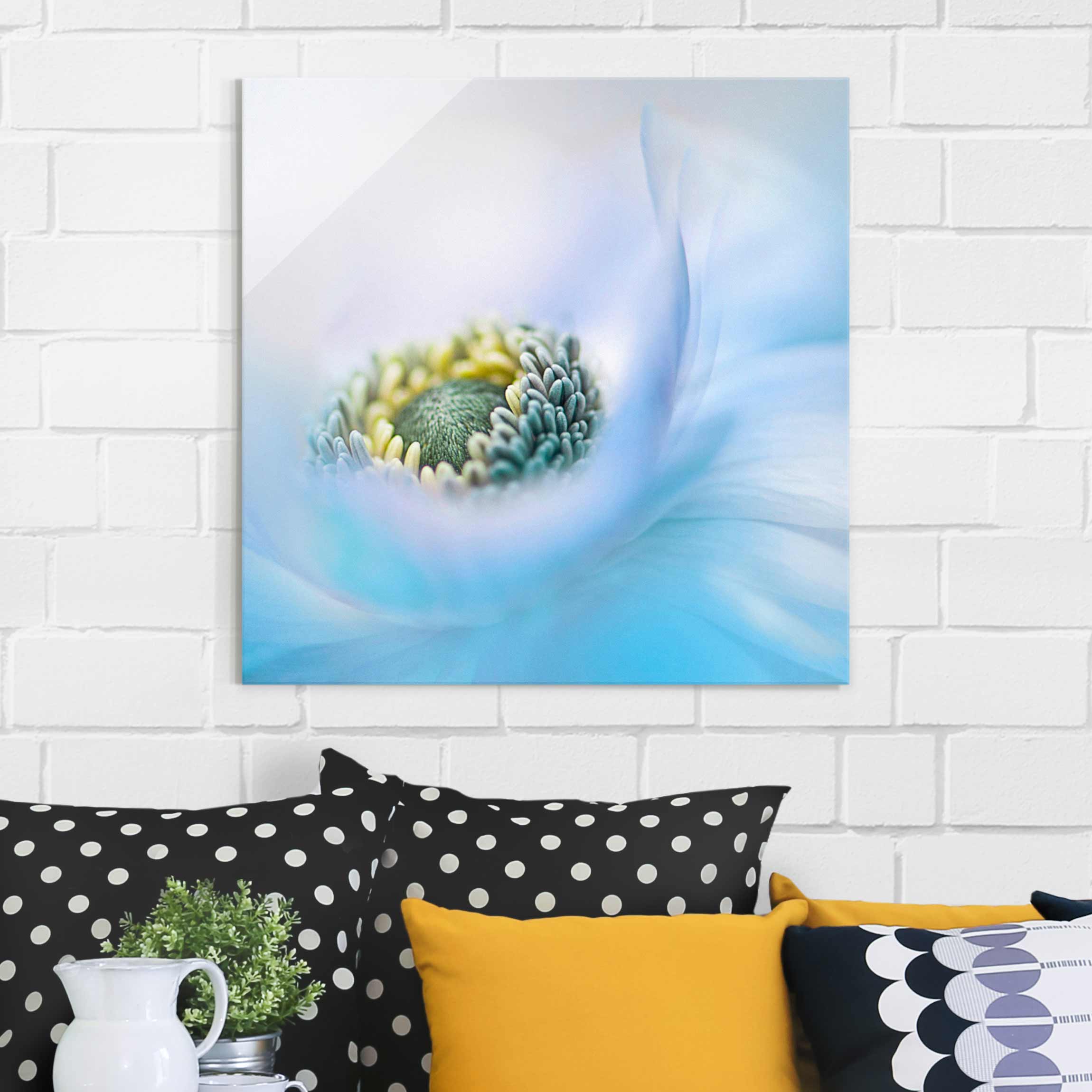 Glasbild Blumen Anemone auf dem Fluss