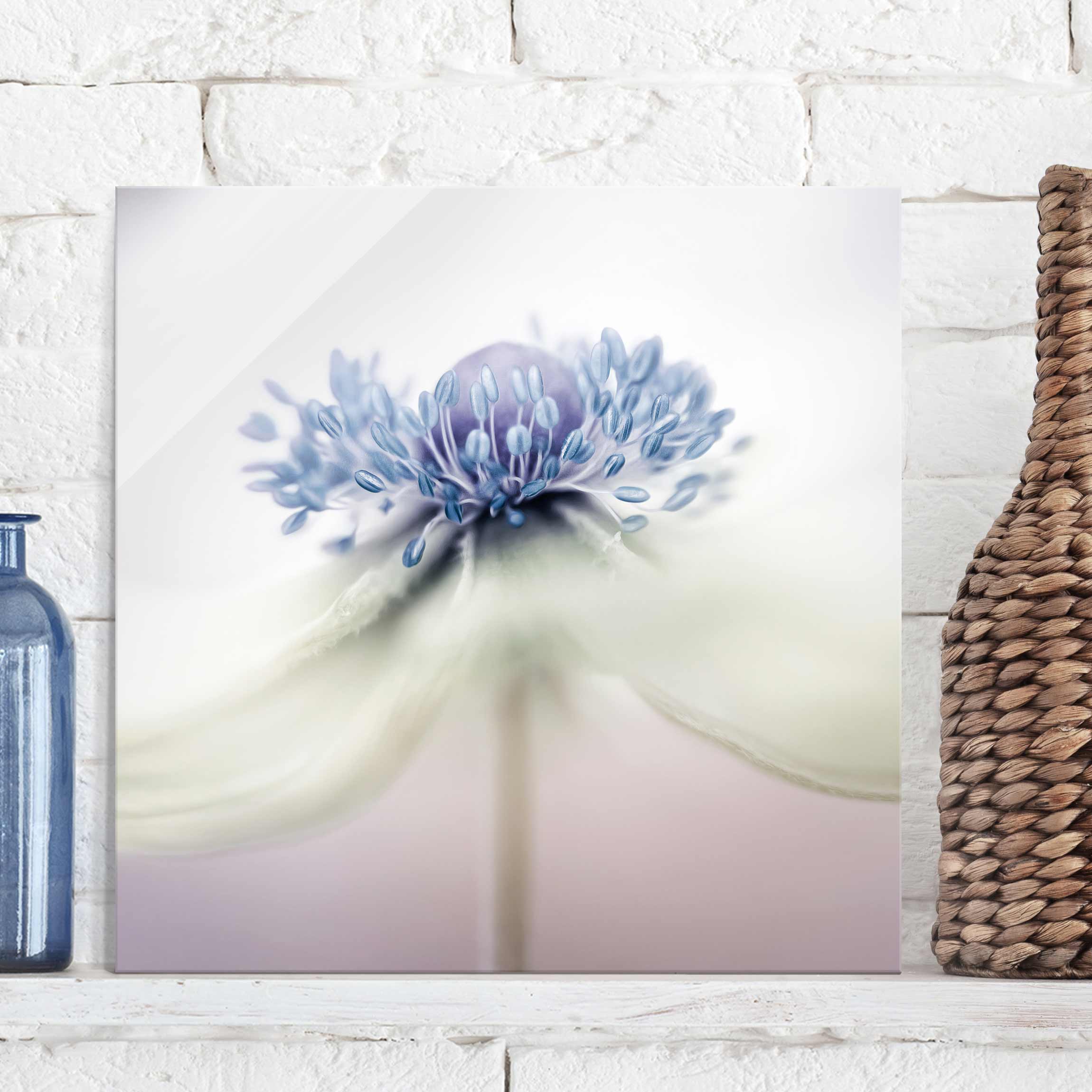 Glasbild Blumen Anemone in Violett