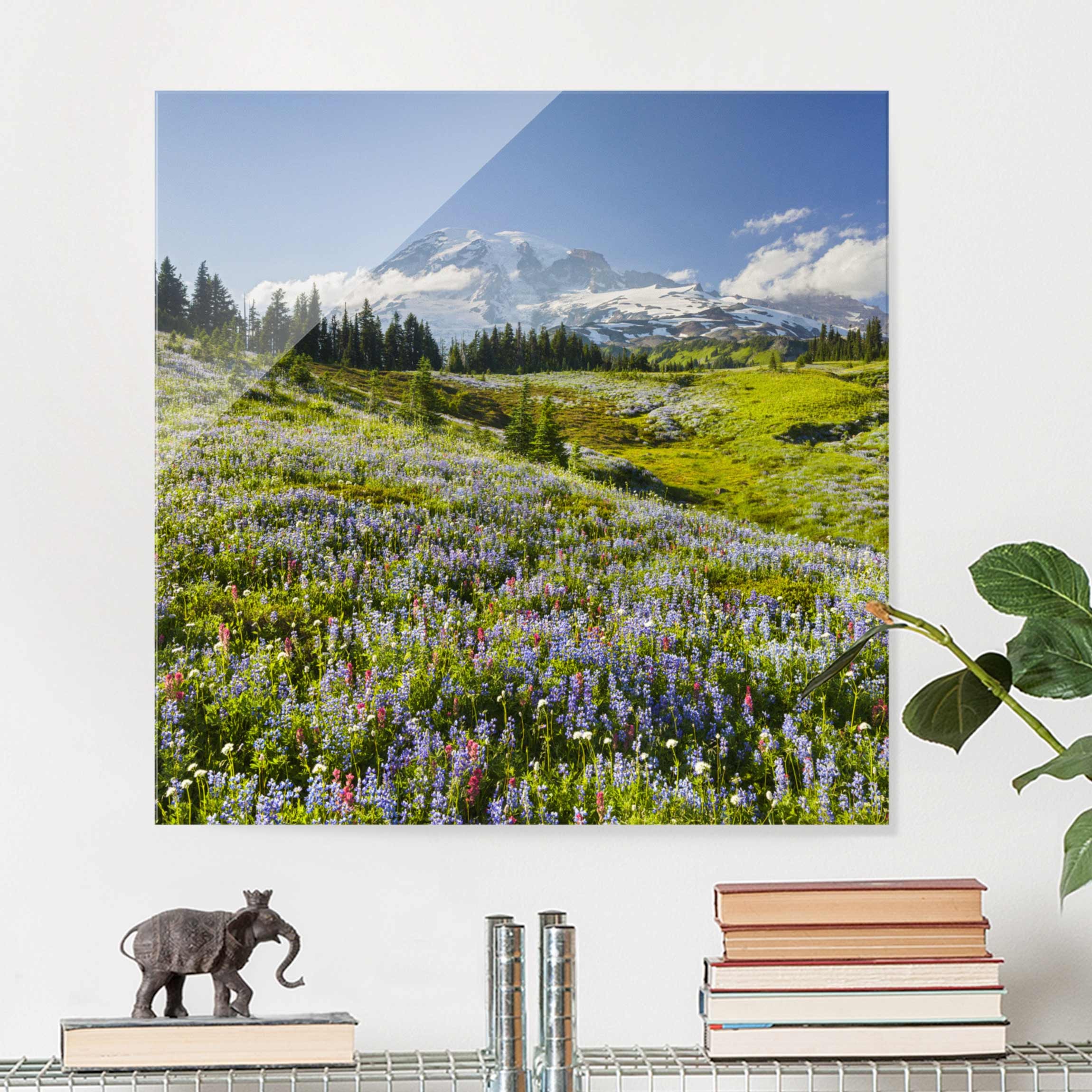 Glasbild - Quadrat Bergwiese mit roten Blumen vor Mt. Rainier