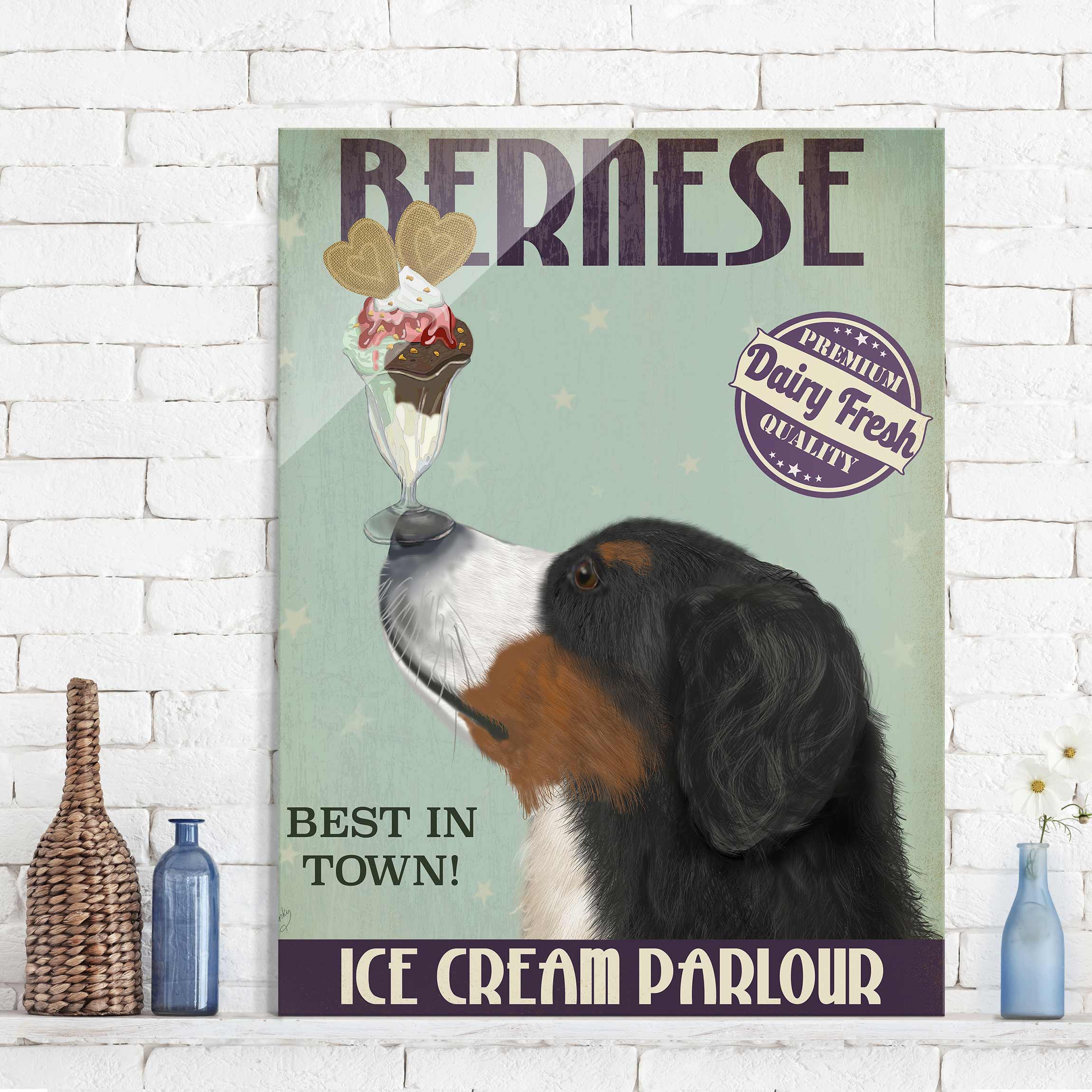 Glasbild Tiere Berner Sennenhund mit Eis