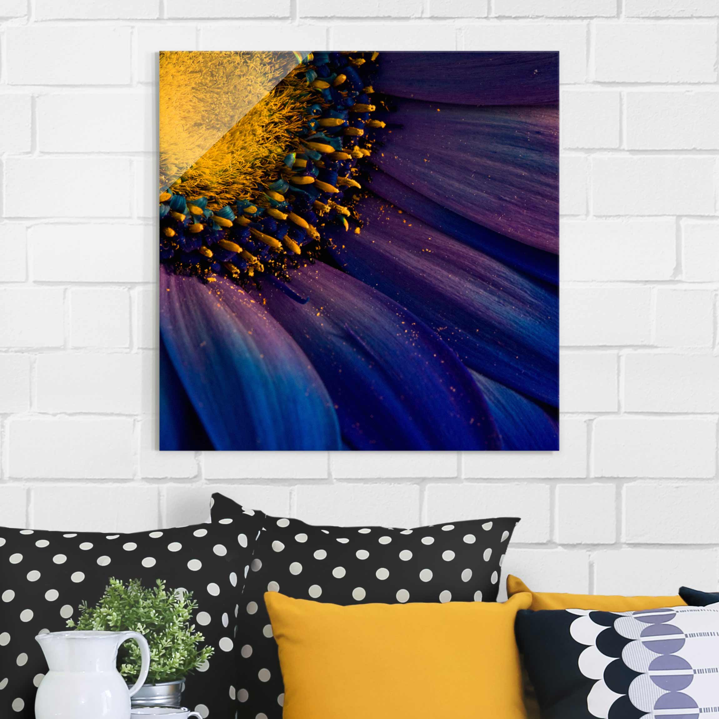 Glasbild Blumen Blaue Gerberablüte