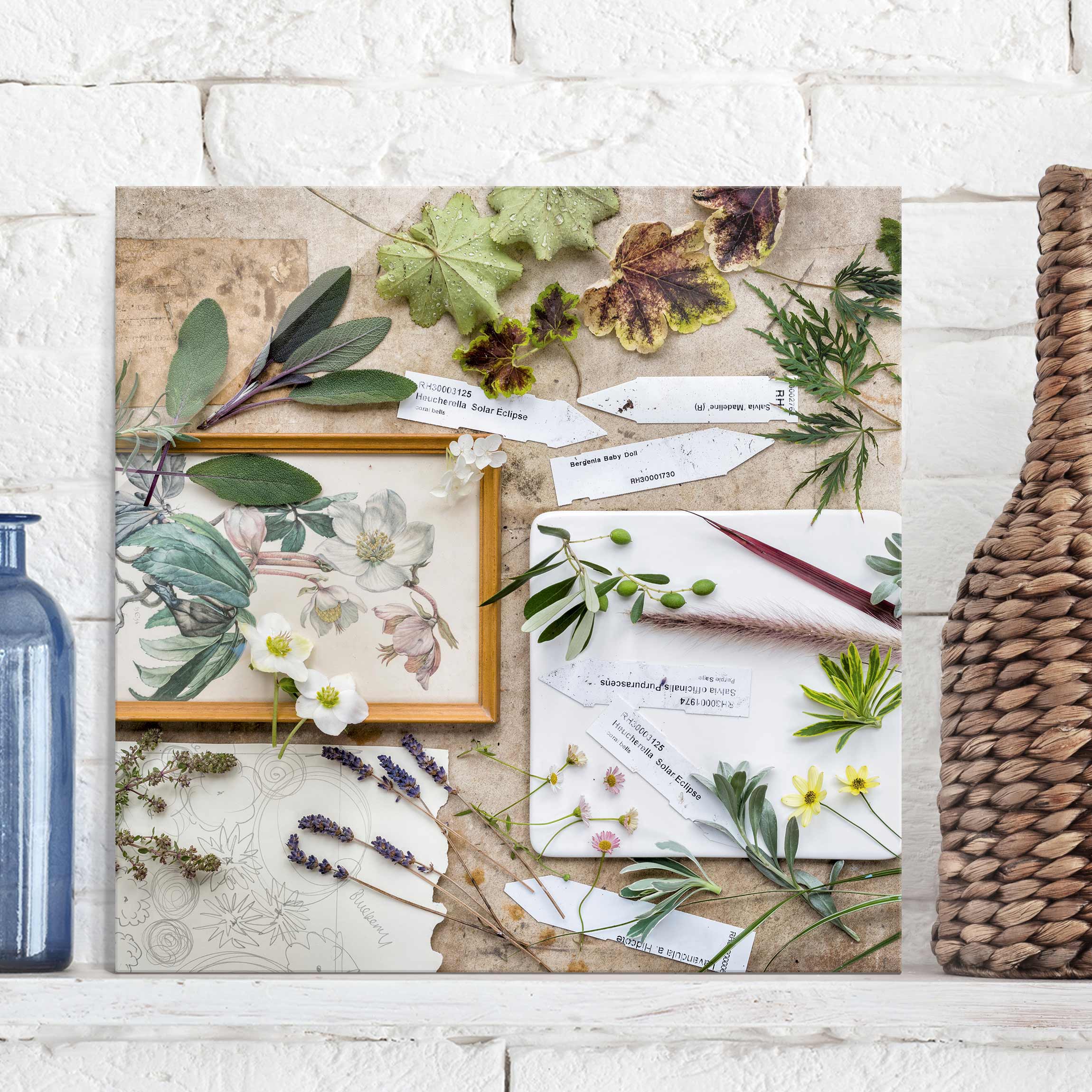 Glasbild - Quadrat Blumen und Gartenkräuter Vintage