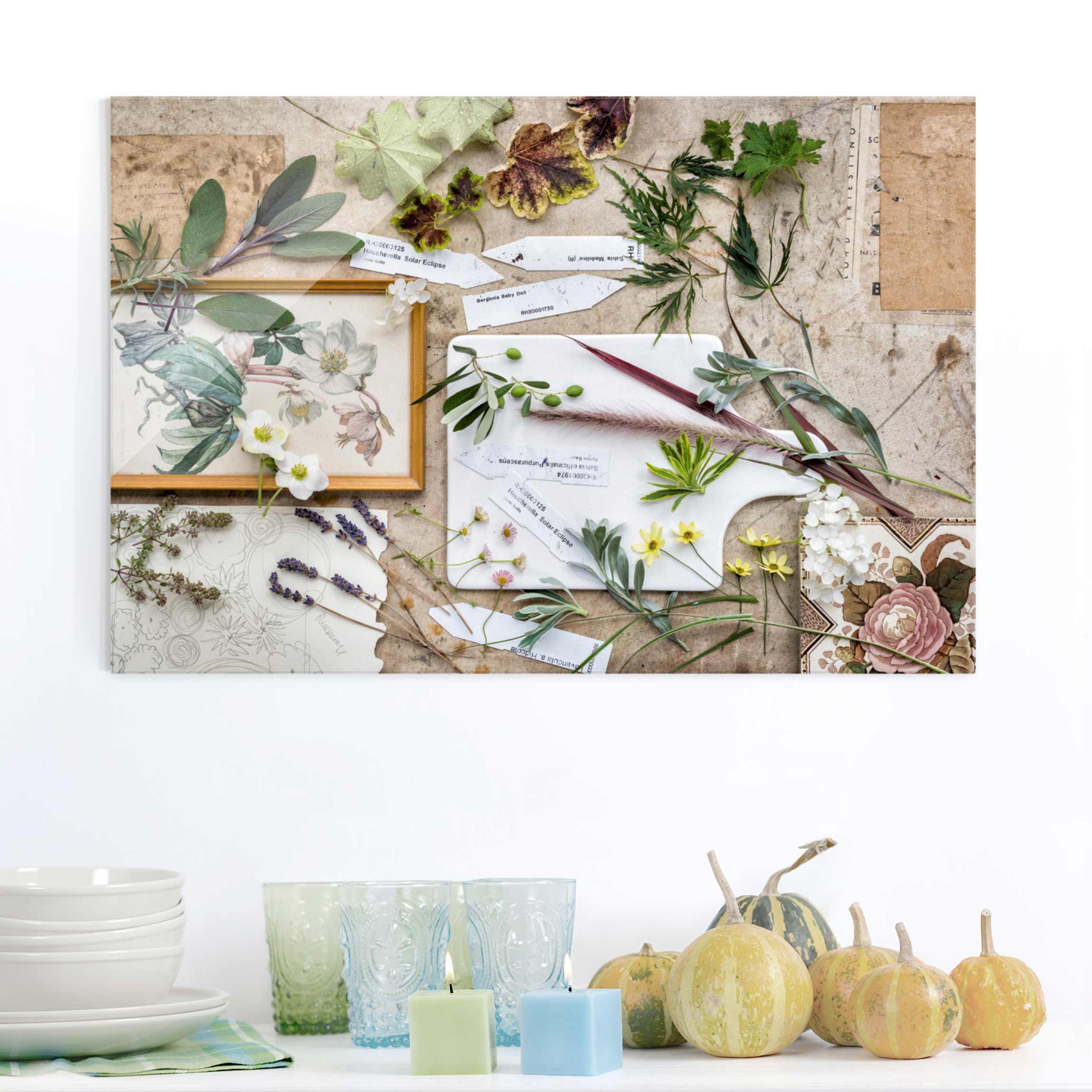 Glasbild - Querformat Blumen und Gartenkräuter Vintage