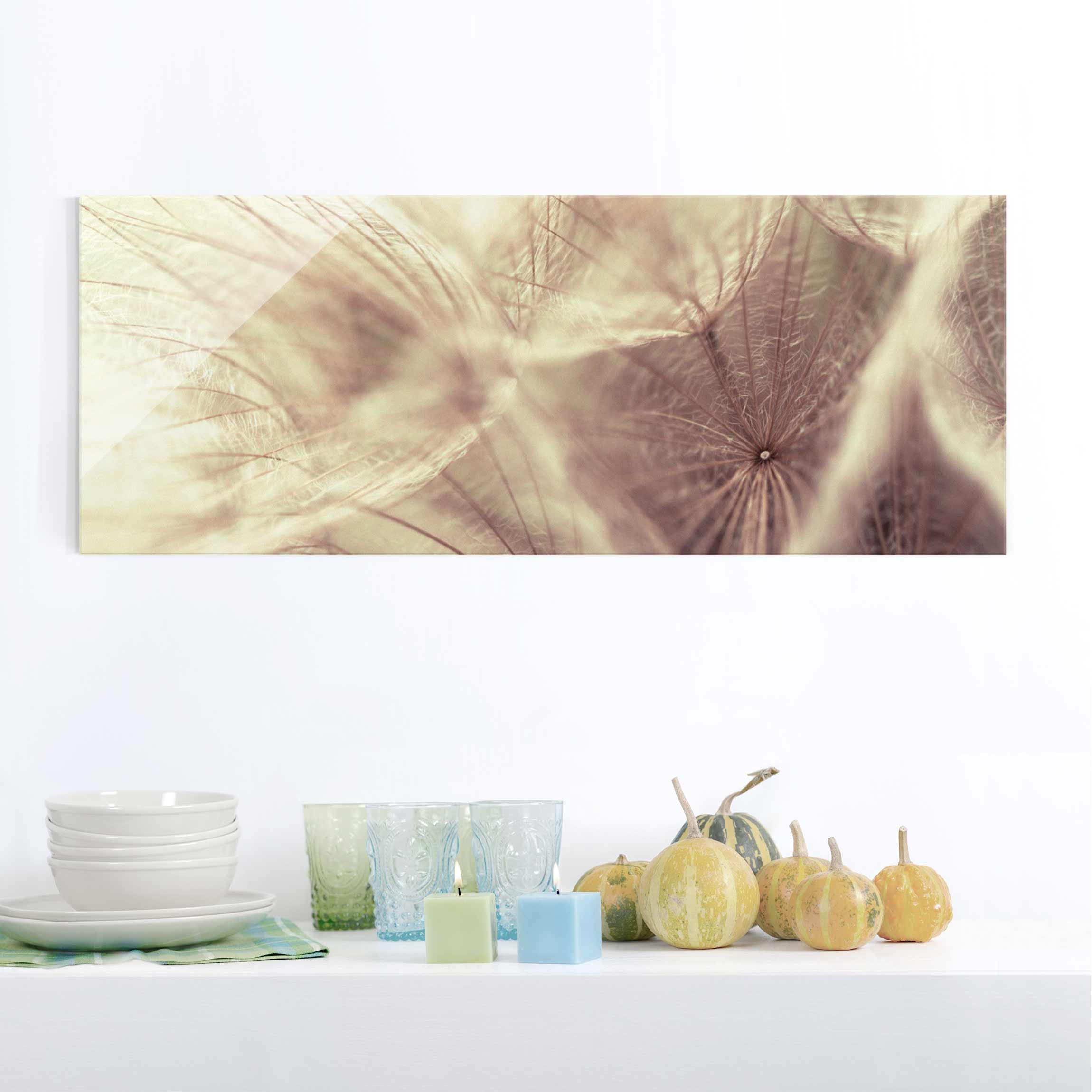 Glasbild - Panorama Detailreiche Pusteblumen Makroaufnahme mit Vintage Blur Effekt