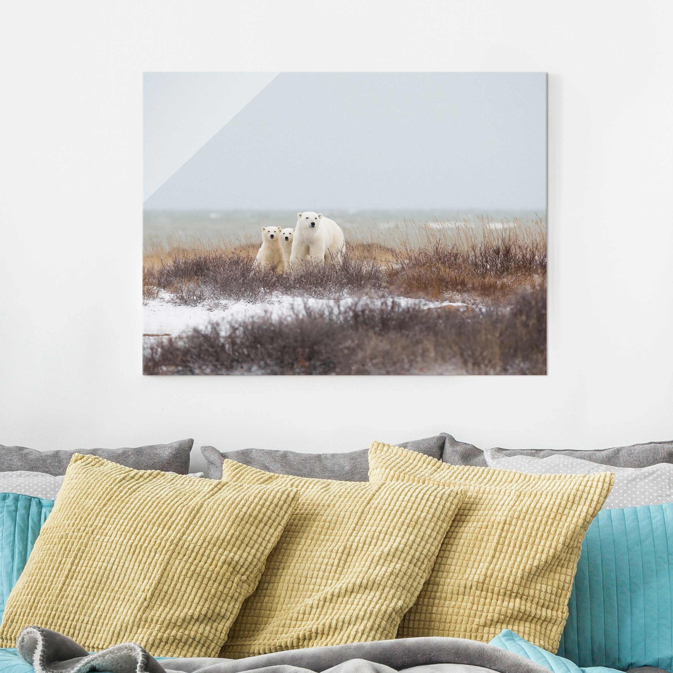 Glasbild Tiere Eisbärin und ihre Jungen