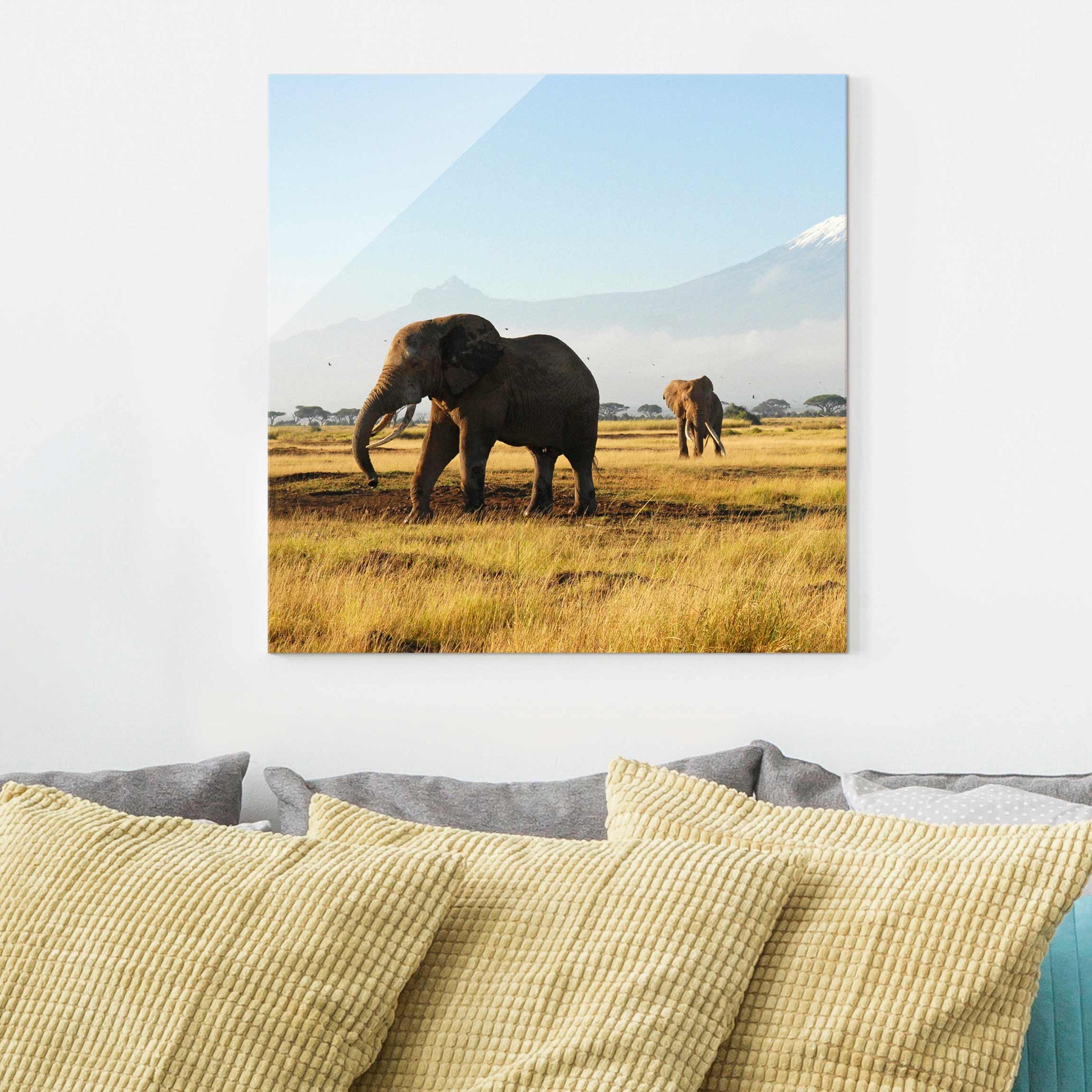 Glasbild Tiere Elefanten vor dem Kilimanjaro in Kenya