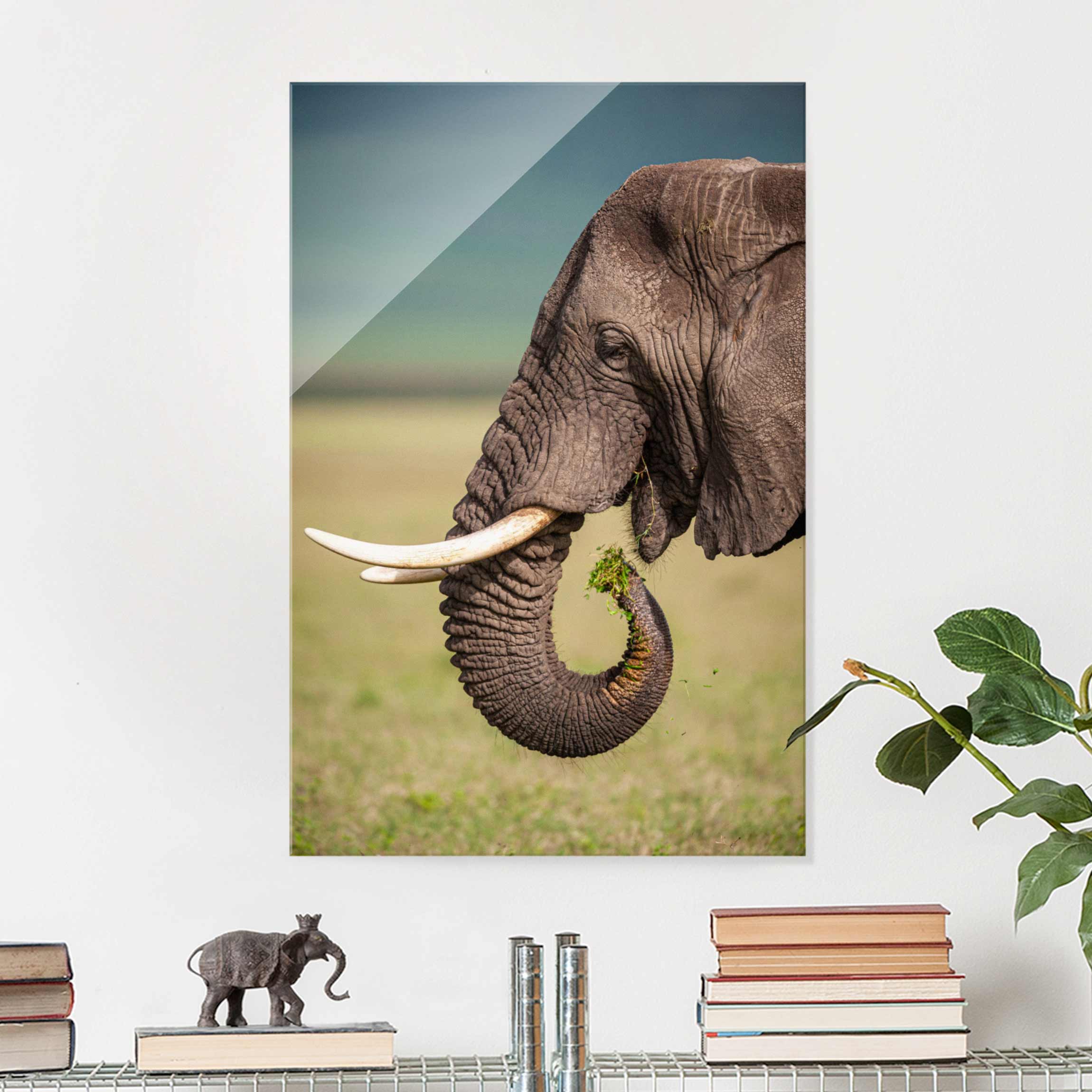 Glasbild Tiere Elefantenfütterung Afrika