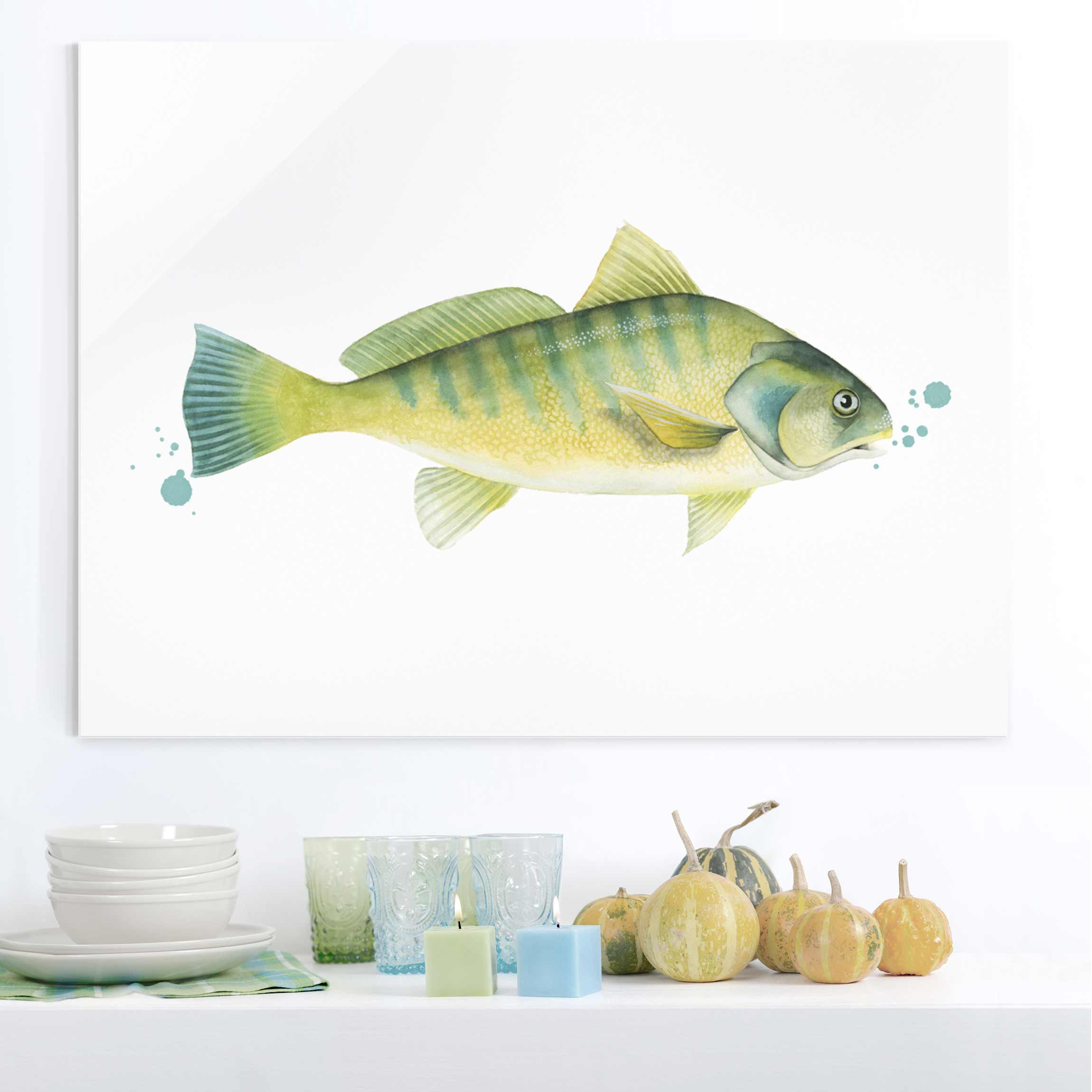 Glasbild Tiere Farbfang - Flussbarsch