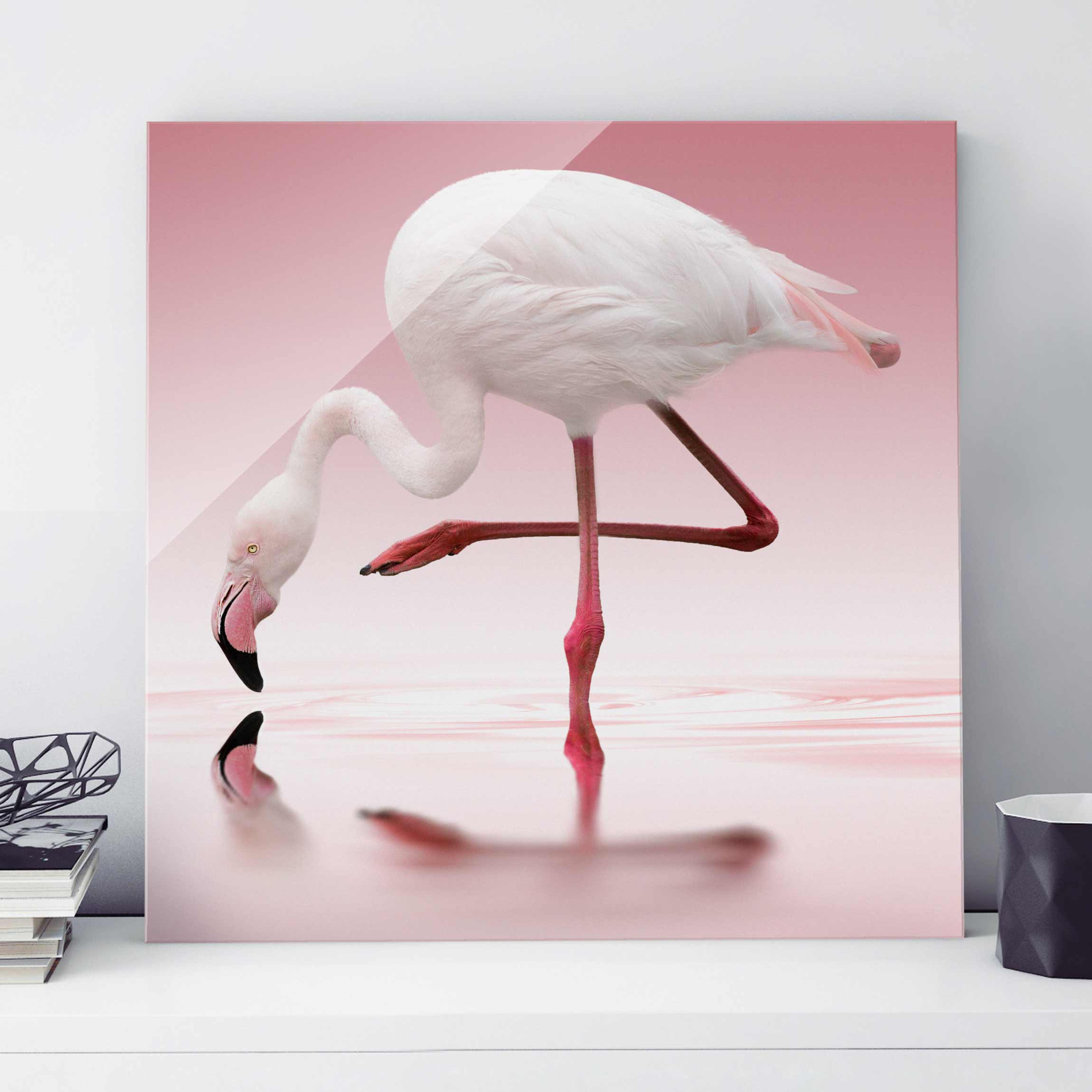 Glasbild Tiere Flamingo Dance